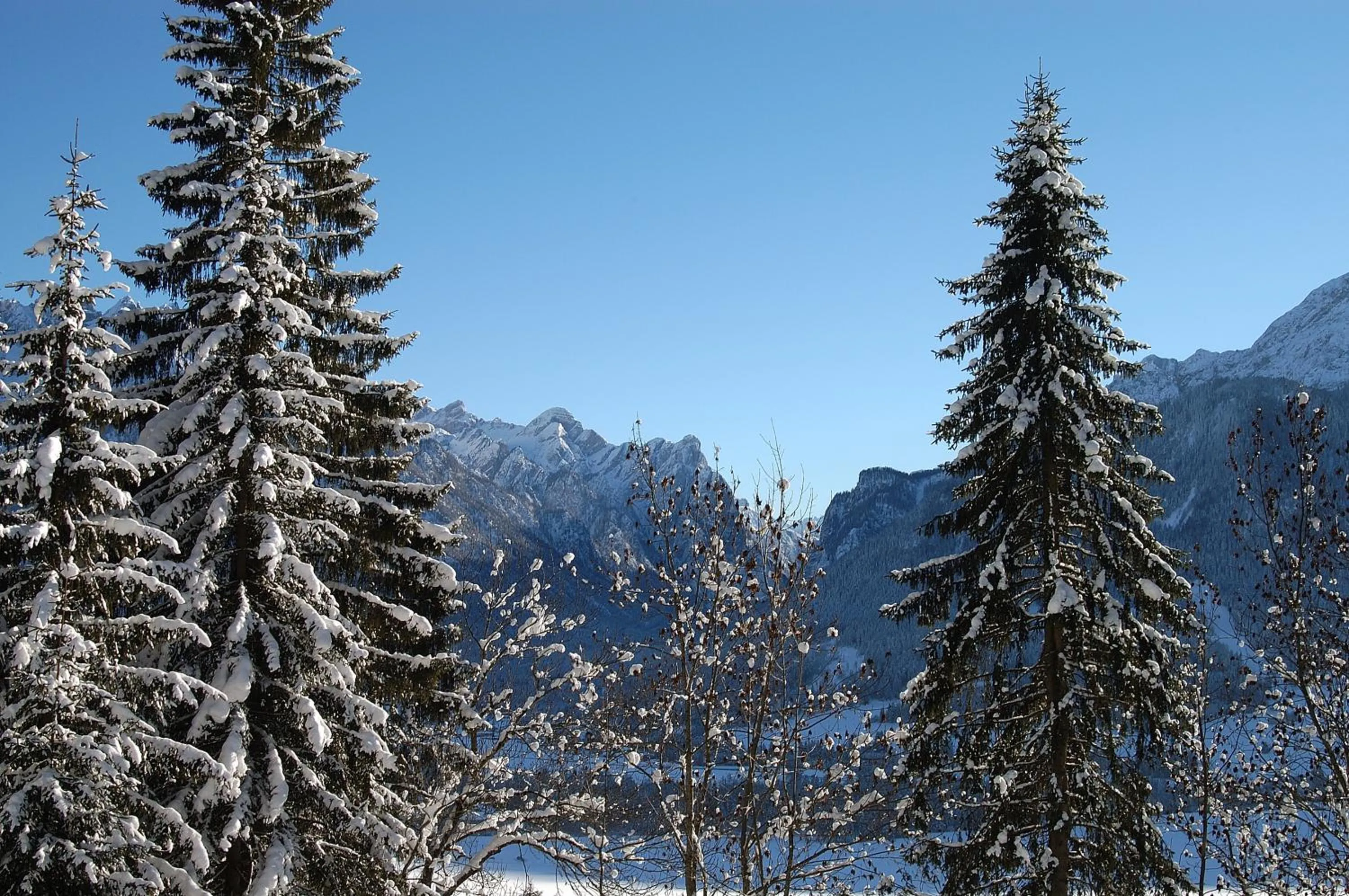 Natural landscape in Stauder