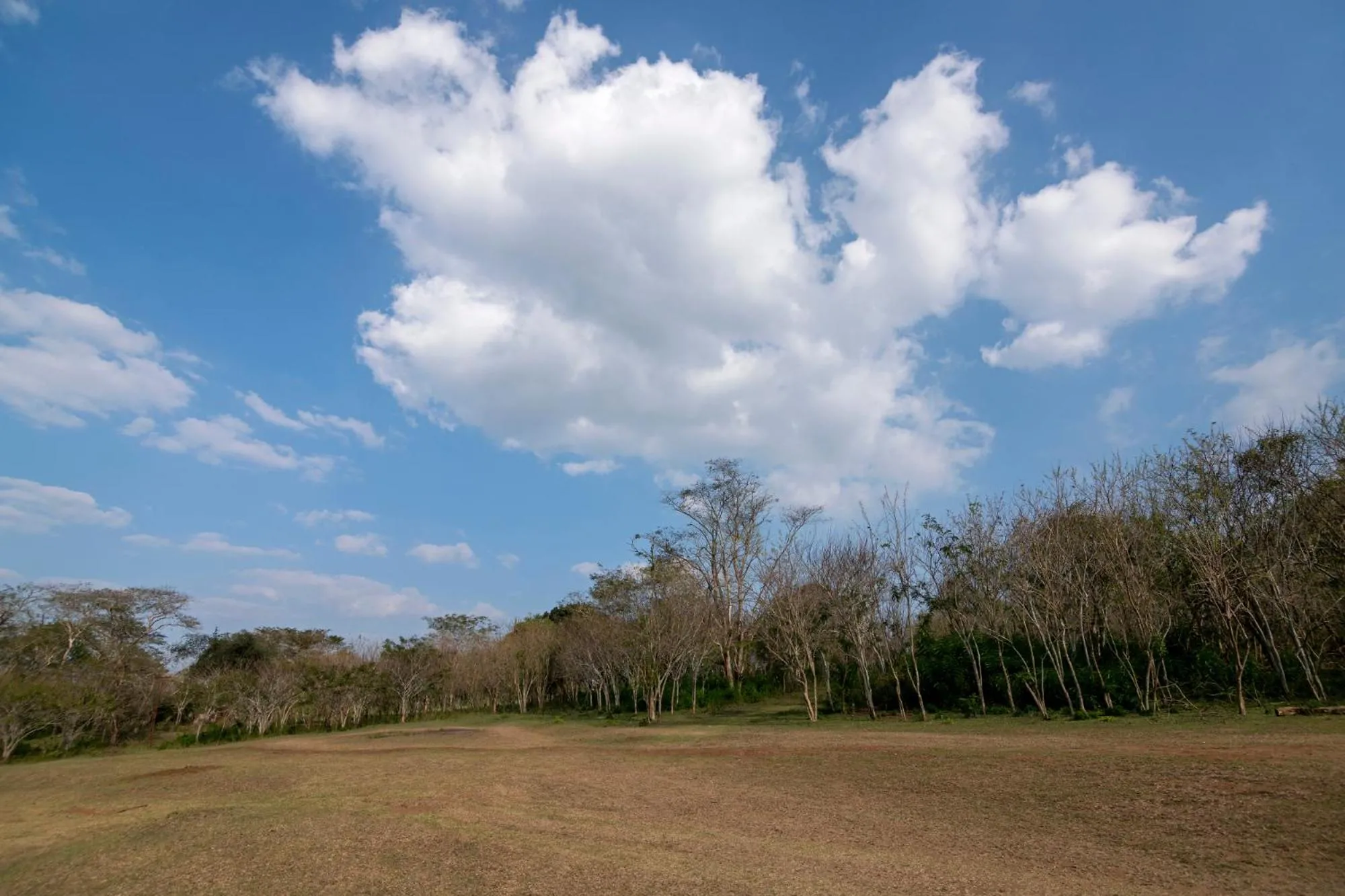 Bamboo Banks Farm & Guest House