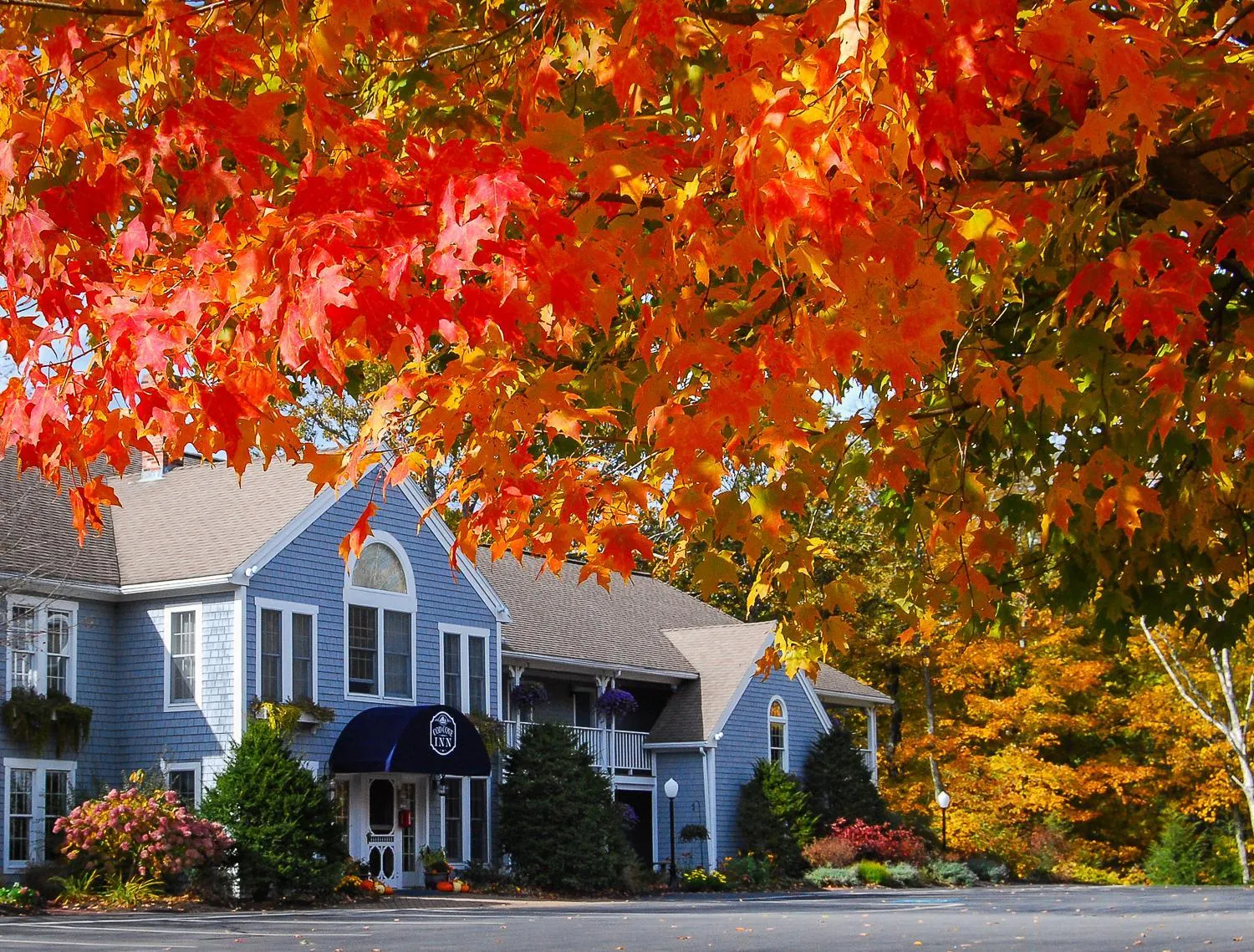 Cod Cove Inn, BW Signature Collection-Boothbay Harbor Area
