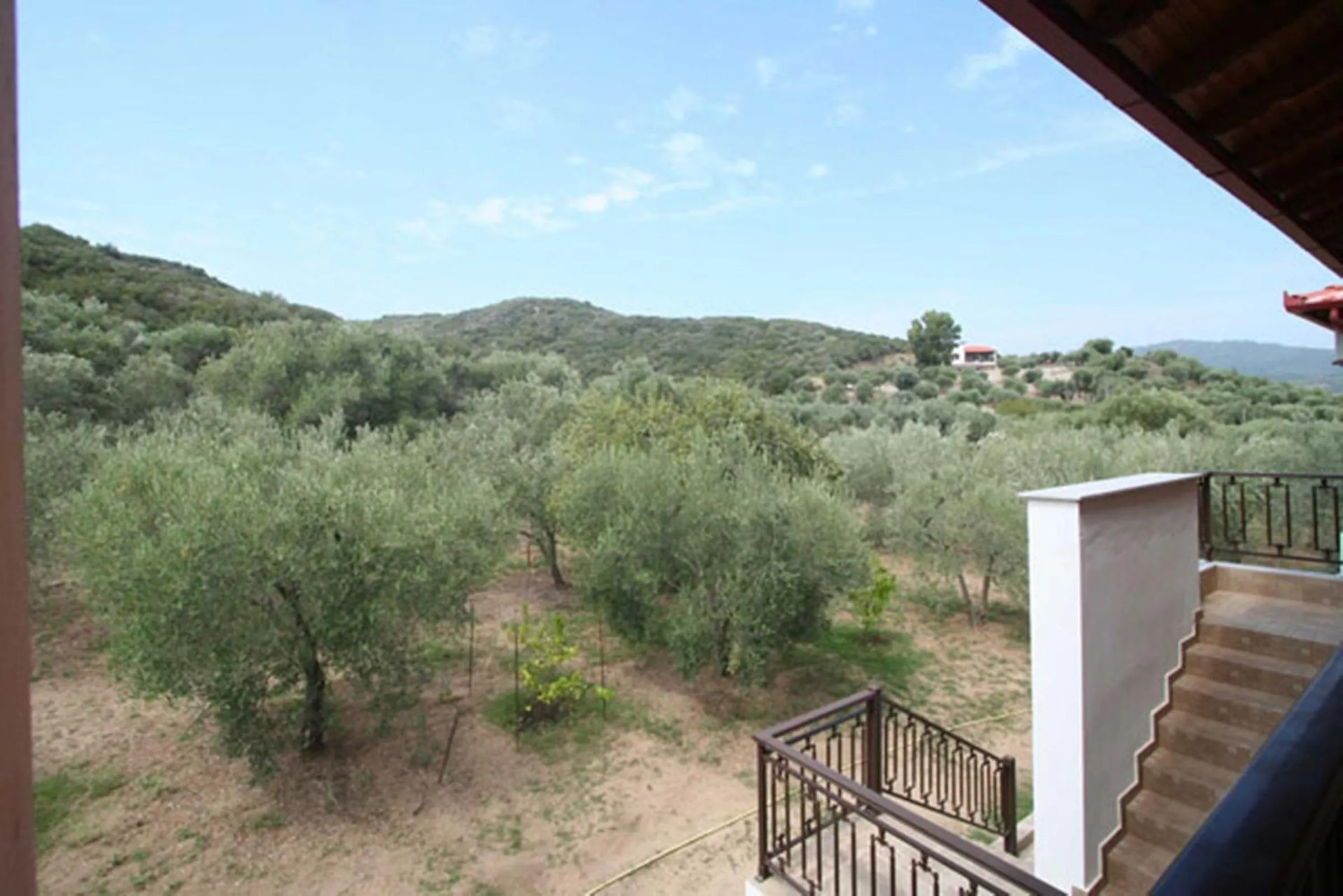 Garden in Studios Alexandros