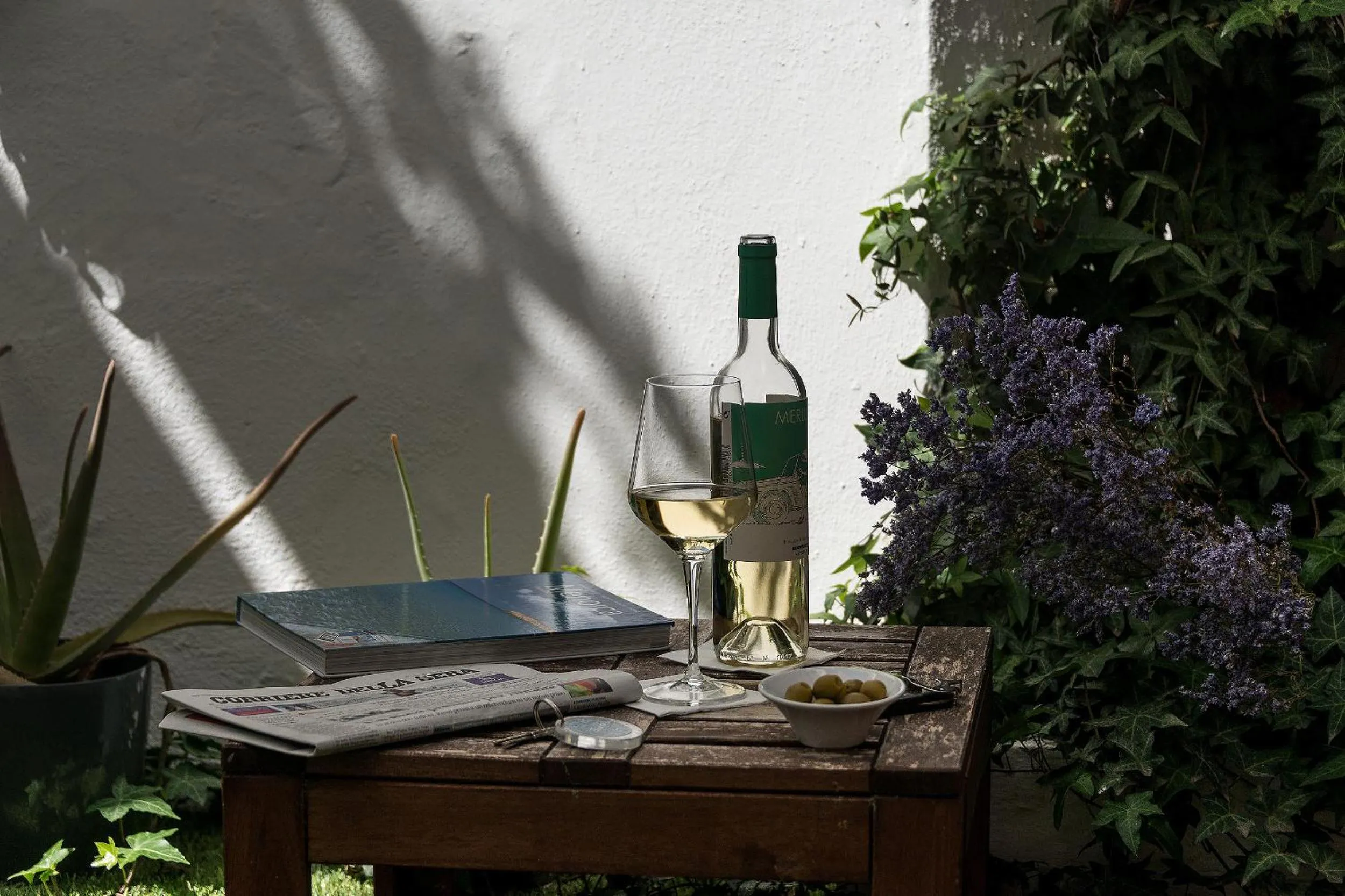 Garden in Cheap & Chic Hotel