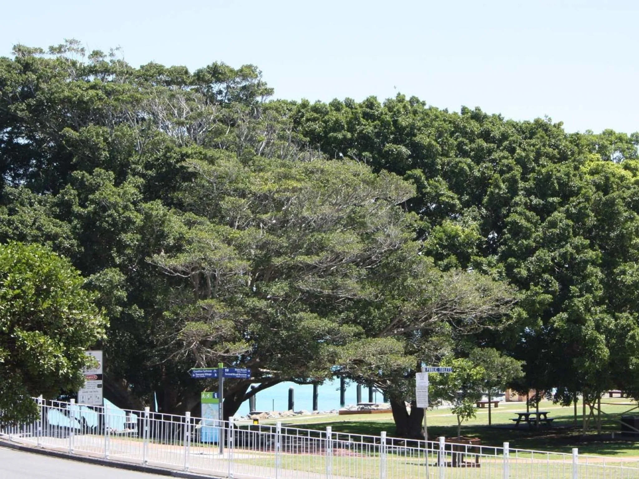 The Reef 103 Lakeside