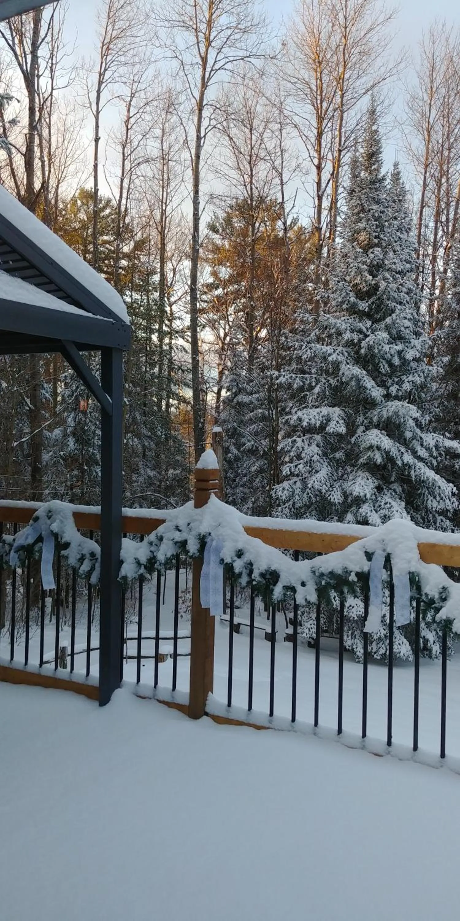 Winter in Suite in the Bush-Private Apartment