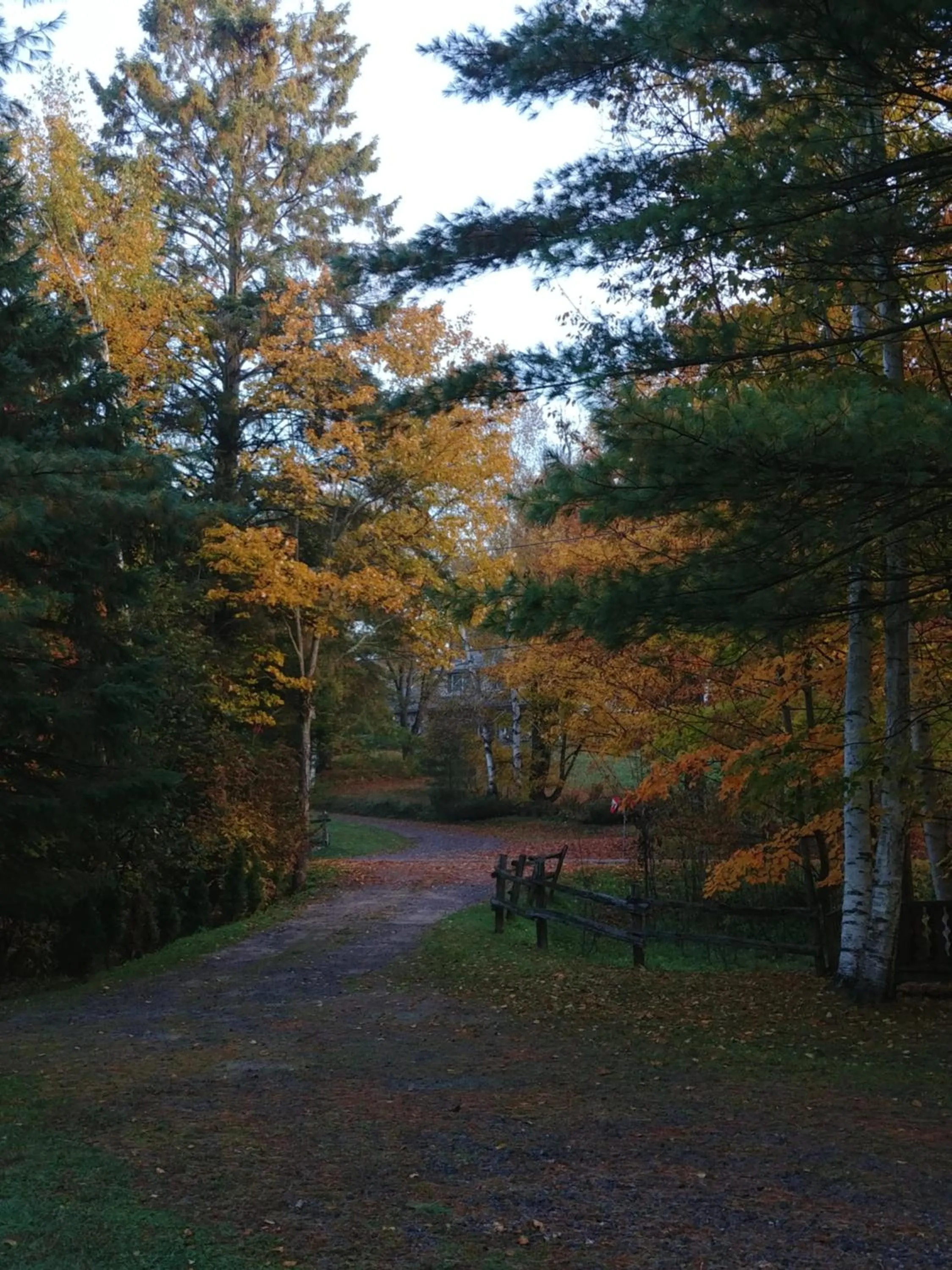 Garden in Suite in the Bush-Private Apartment