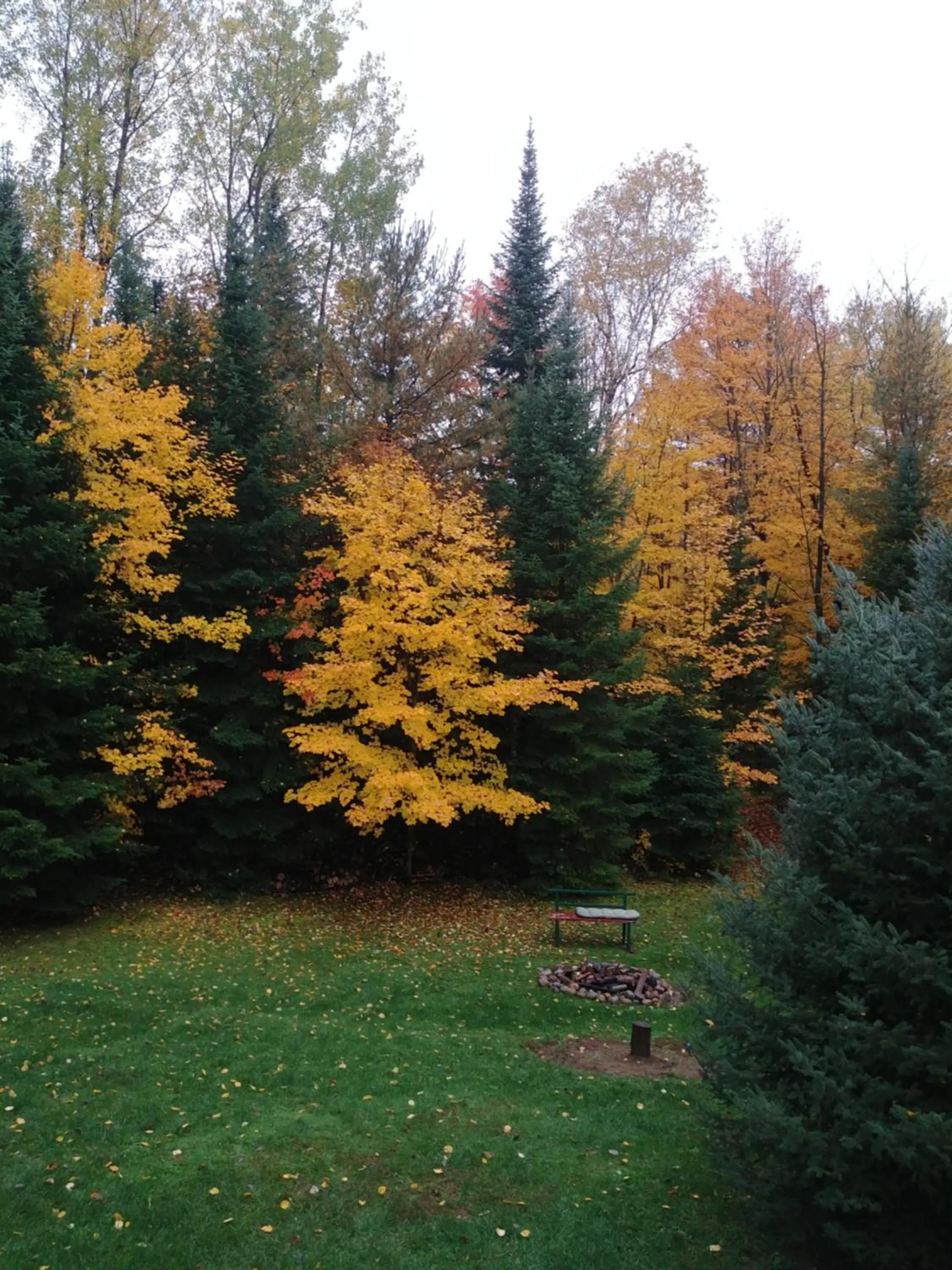 Garden view in Suite in the Bush-Private Apartment