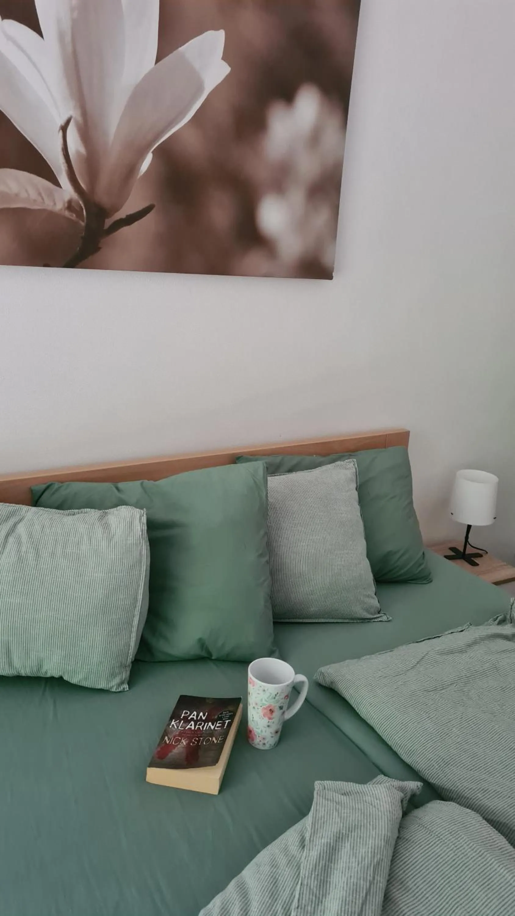 Photo of the whole room, Bed in Penzion Dominik