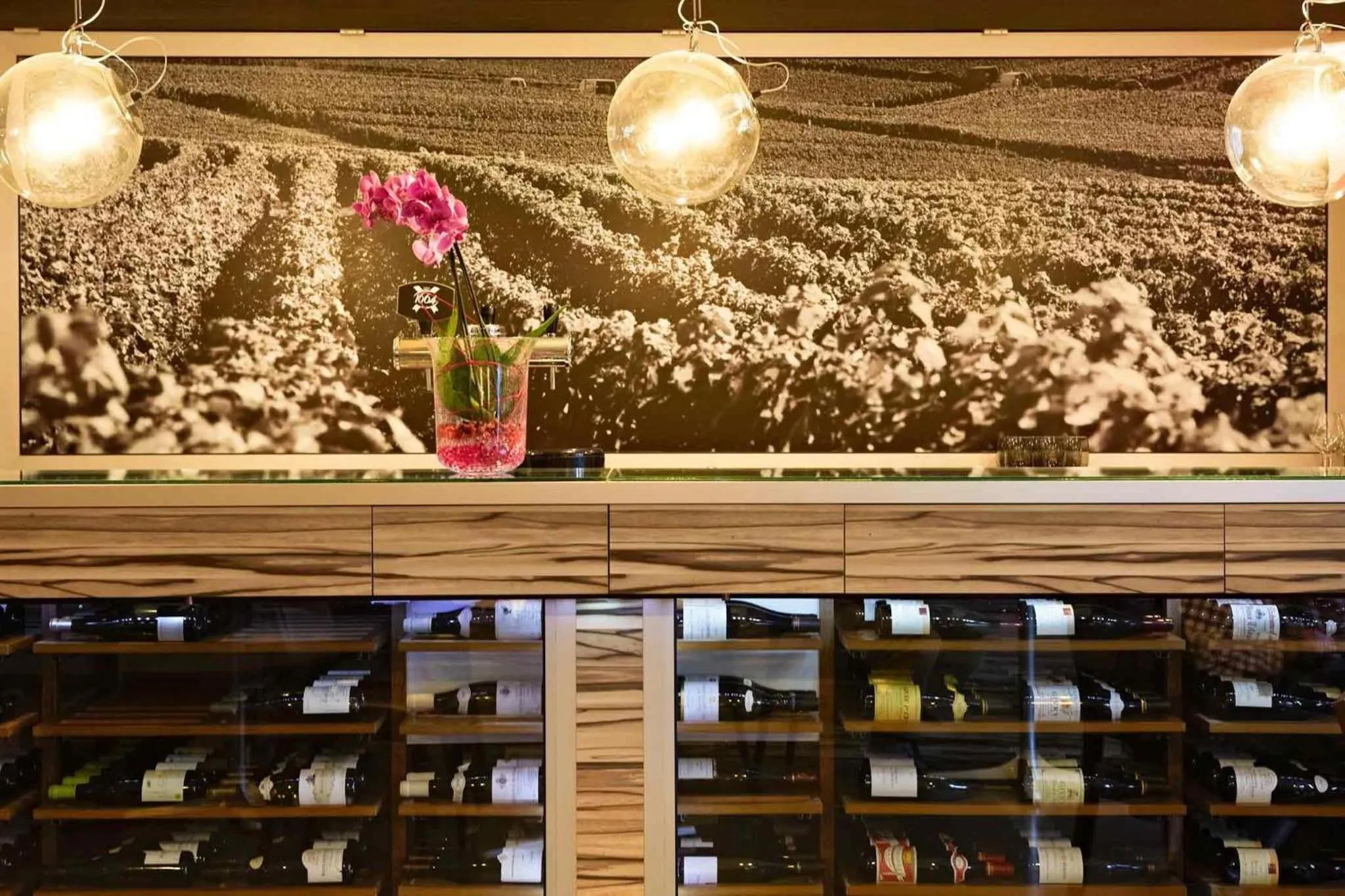 Lounge or bar in ibis Europe Chalon Sur Saone