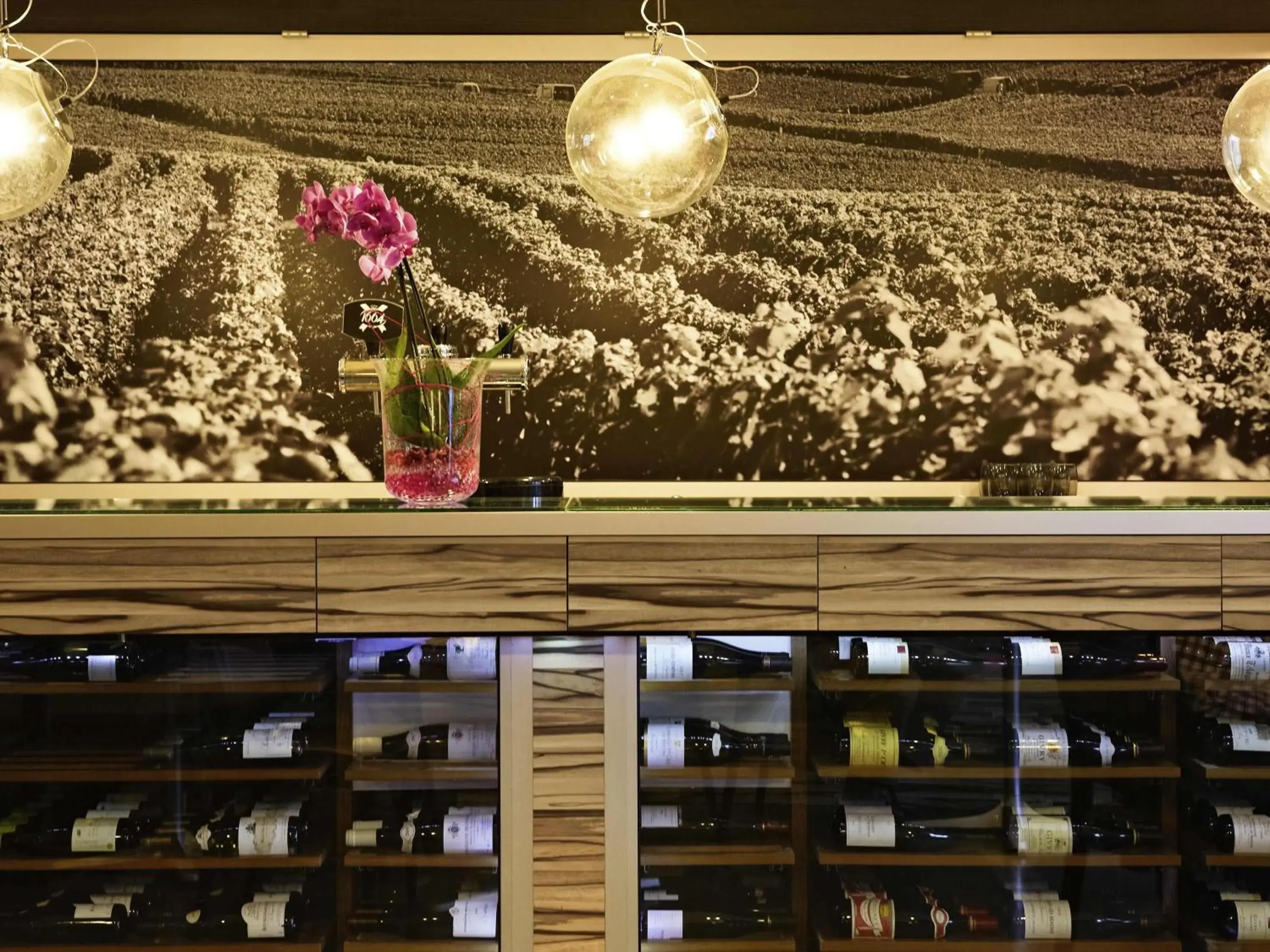 Restaurant/places to eat in ibis Europe Chalon Sur Saone Restaurant/places to eat in ibis Europe Chalon Sur Saone