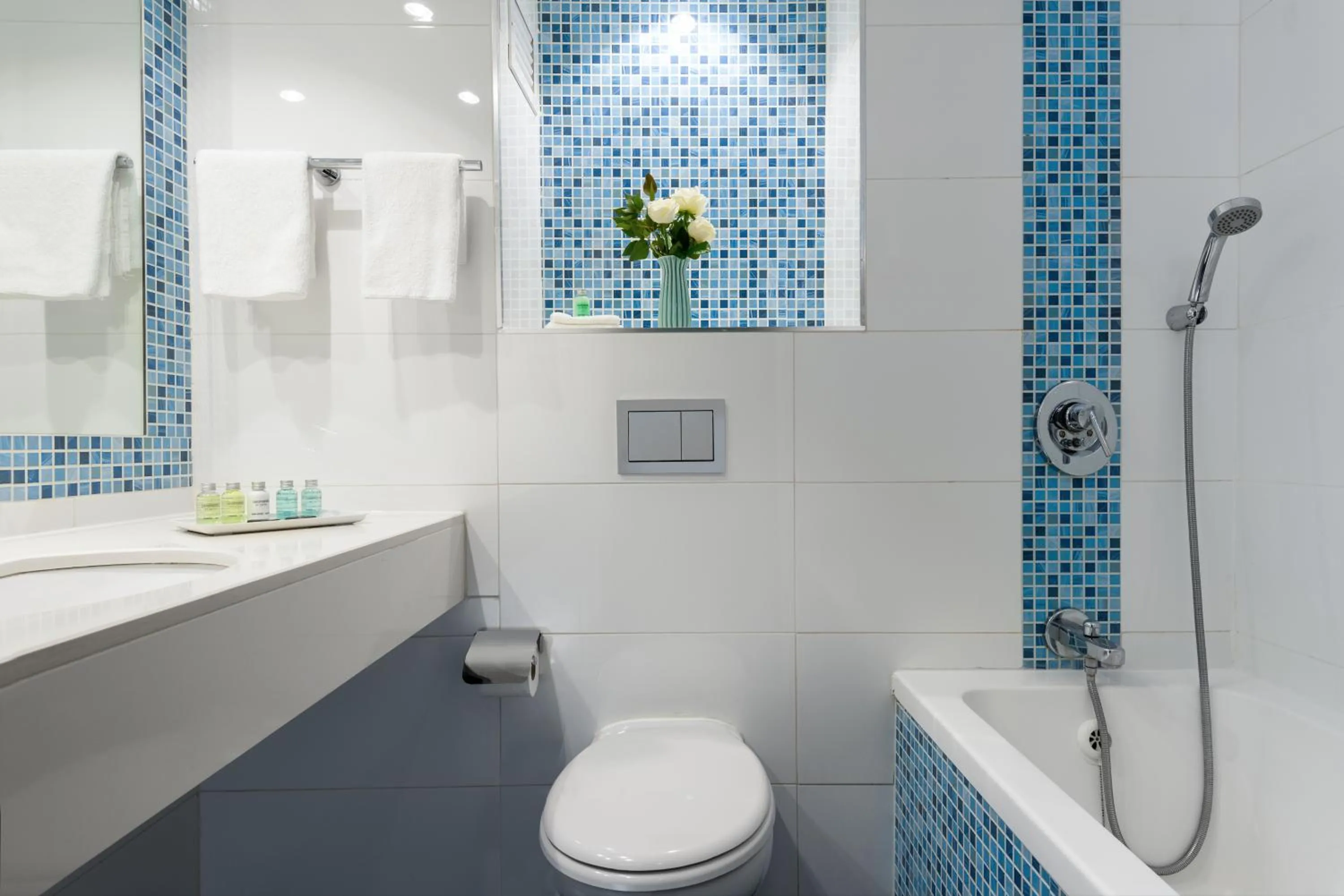 Toilet in Leonardo Club Tiberias - All Inclusive