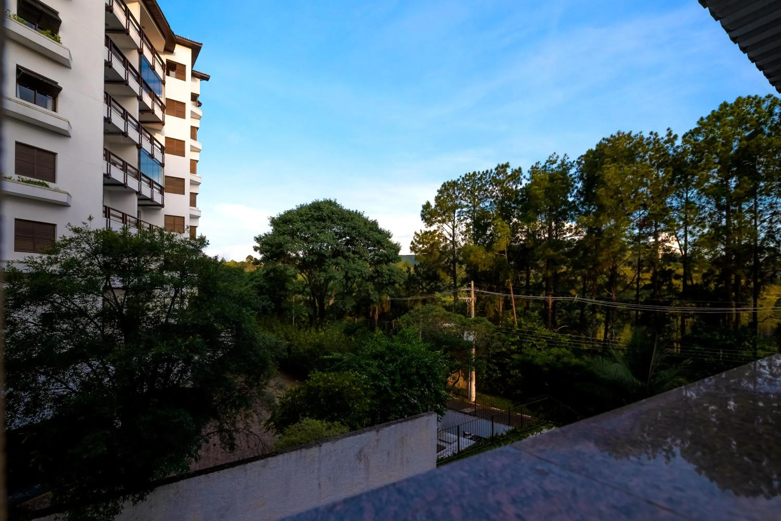 View (from property/room) in Rovi Plaza Hotel