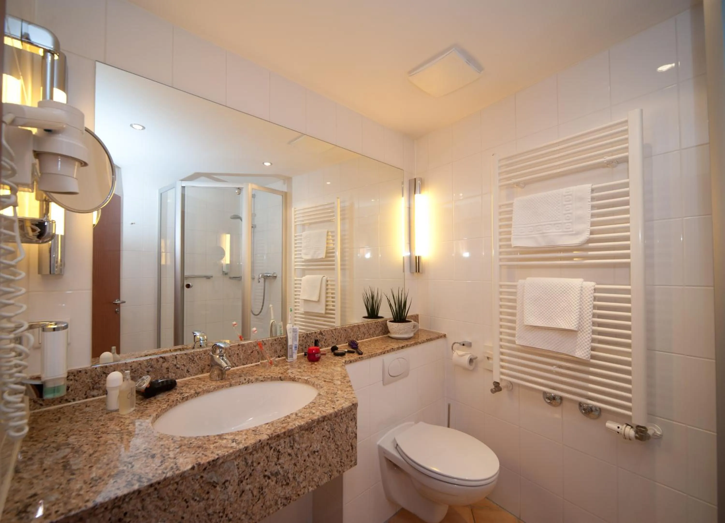 Bathroom in Hotel Mehl