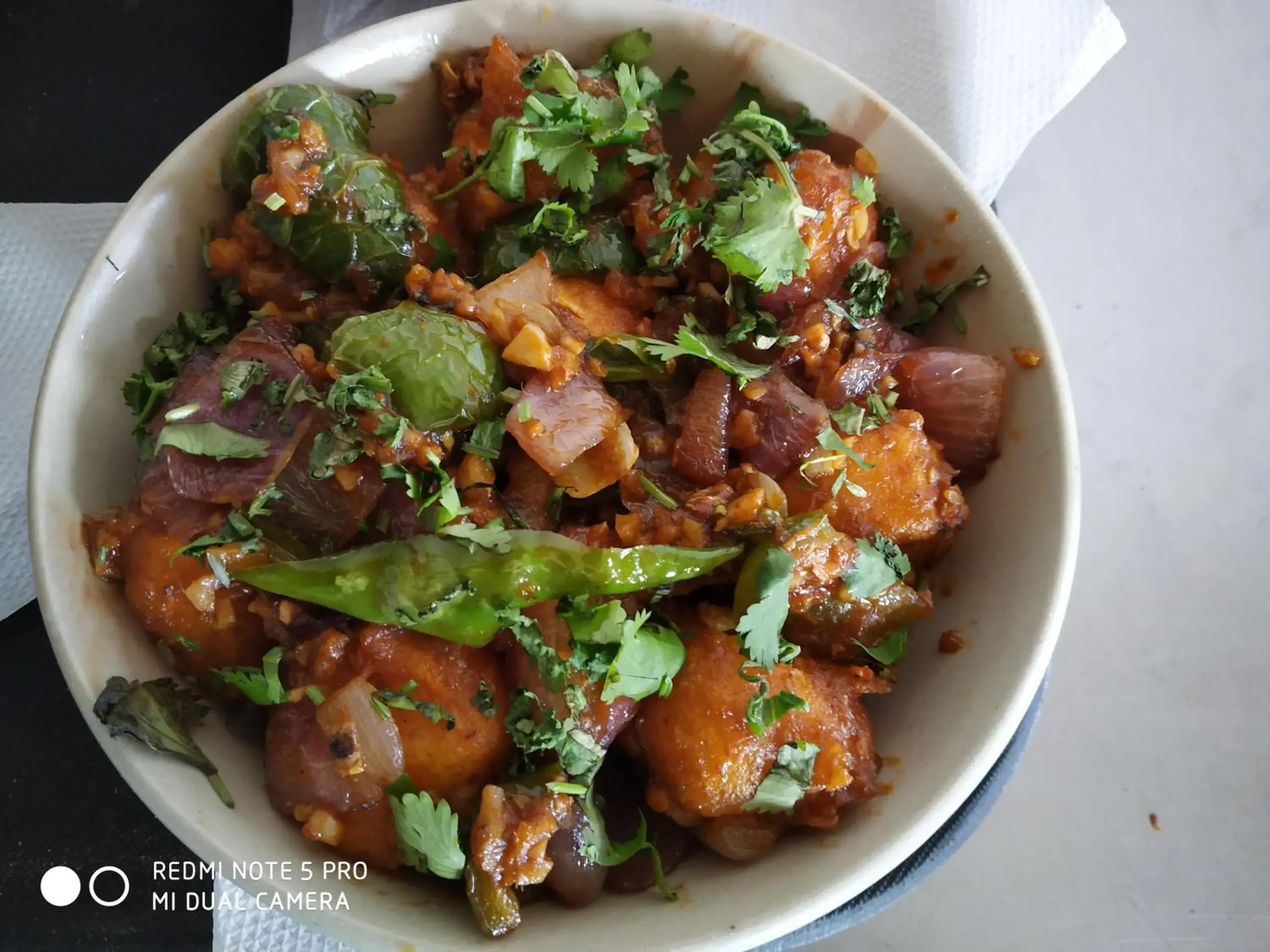 Food and drinks in Hotel Aadesh Palace Food and drinks in Hotel Aadesh Palace