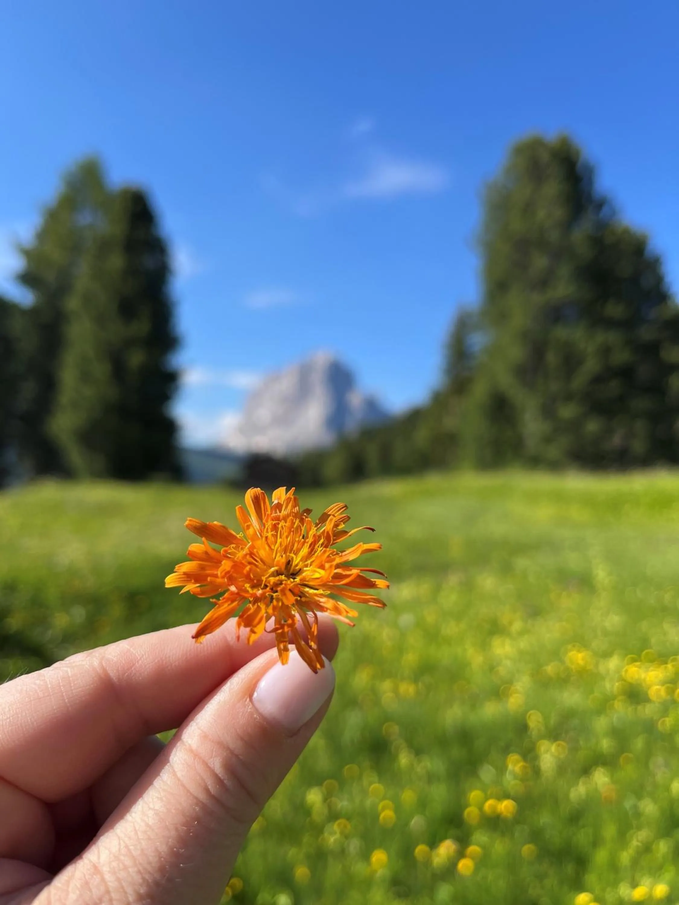 Summer in Hotel Arnaria