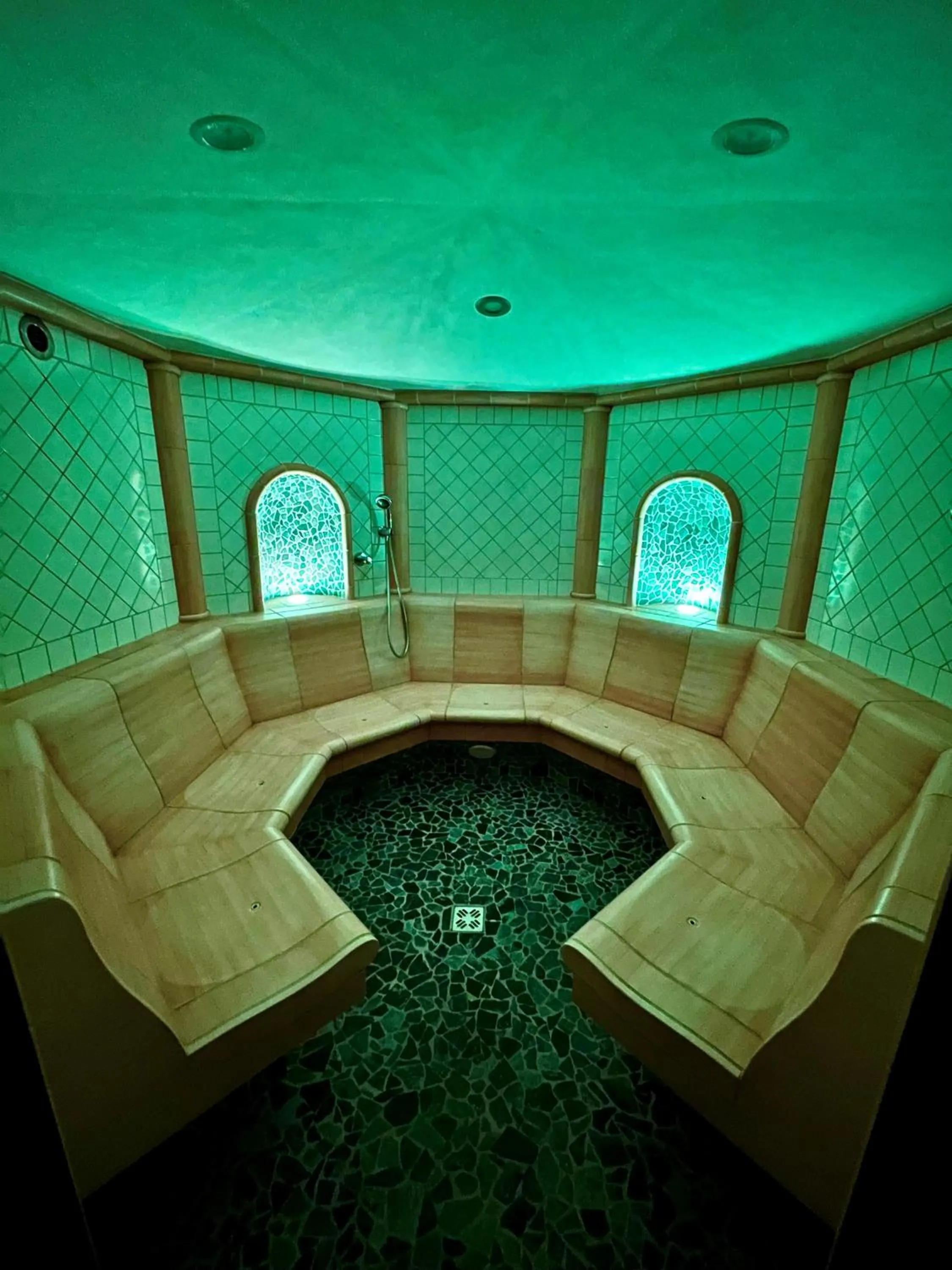 Sauna in Hotel Arnaria