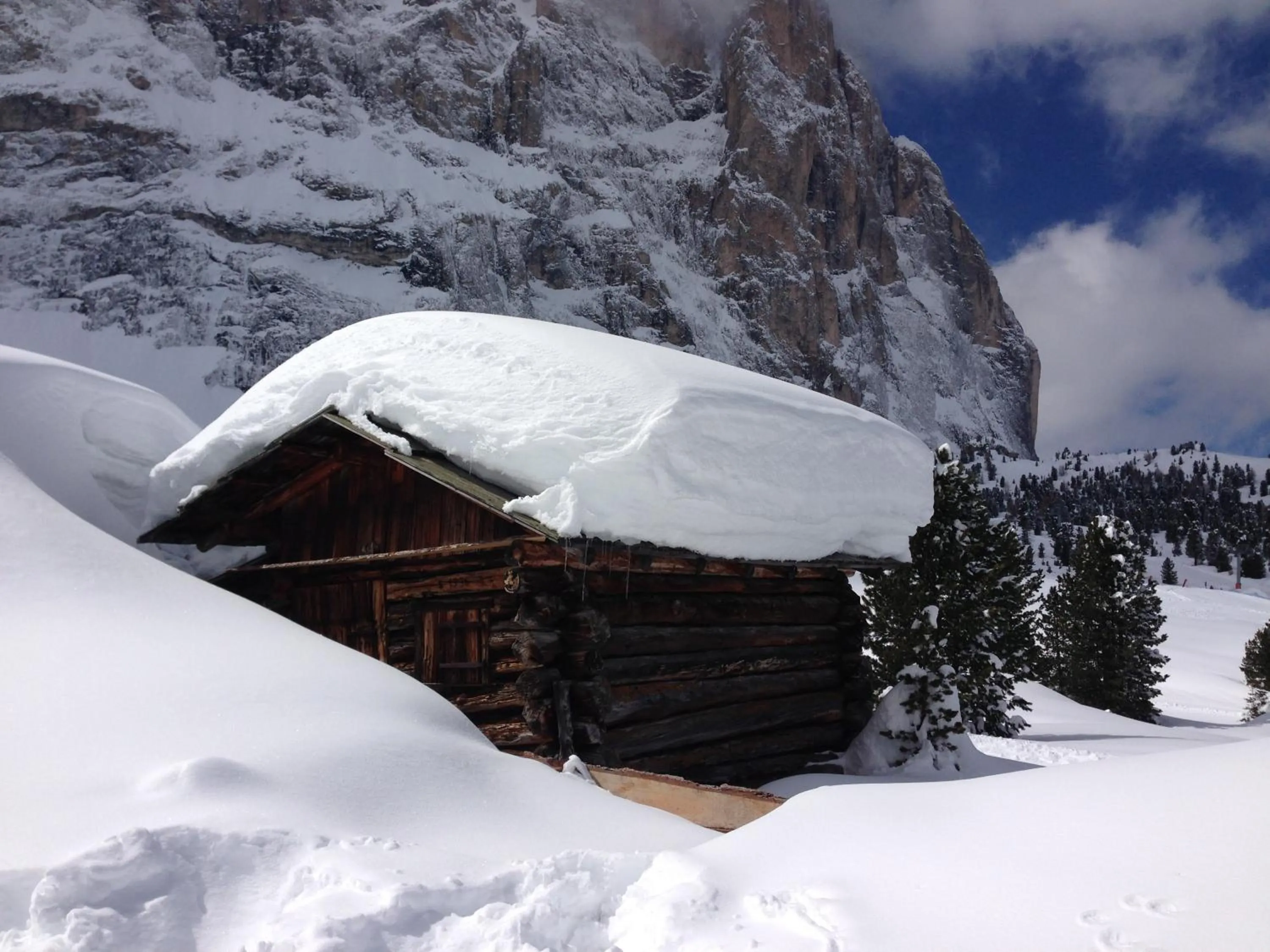 Area and facilities in Hotel Arnaria