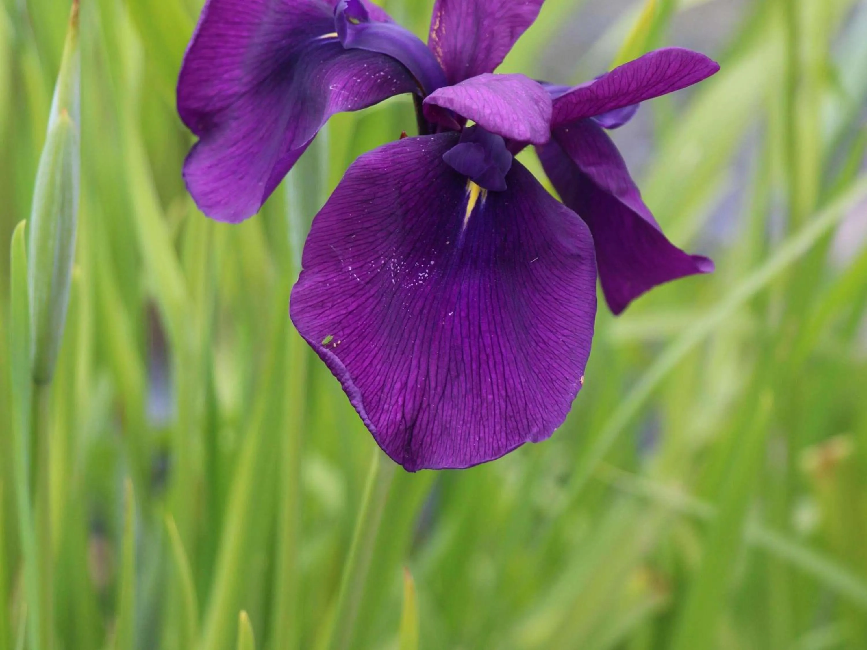 Property building in Hôtel ibis Guingamp Cœur de Bretagne