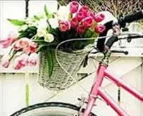 Cycling in Riccione Beach Hotel - Enjoy your Summer -Beach Village incluso