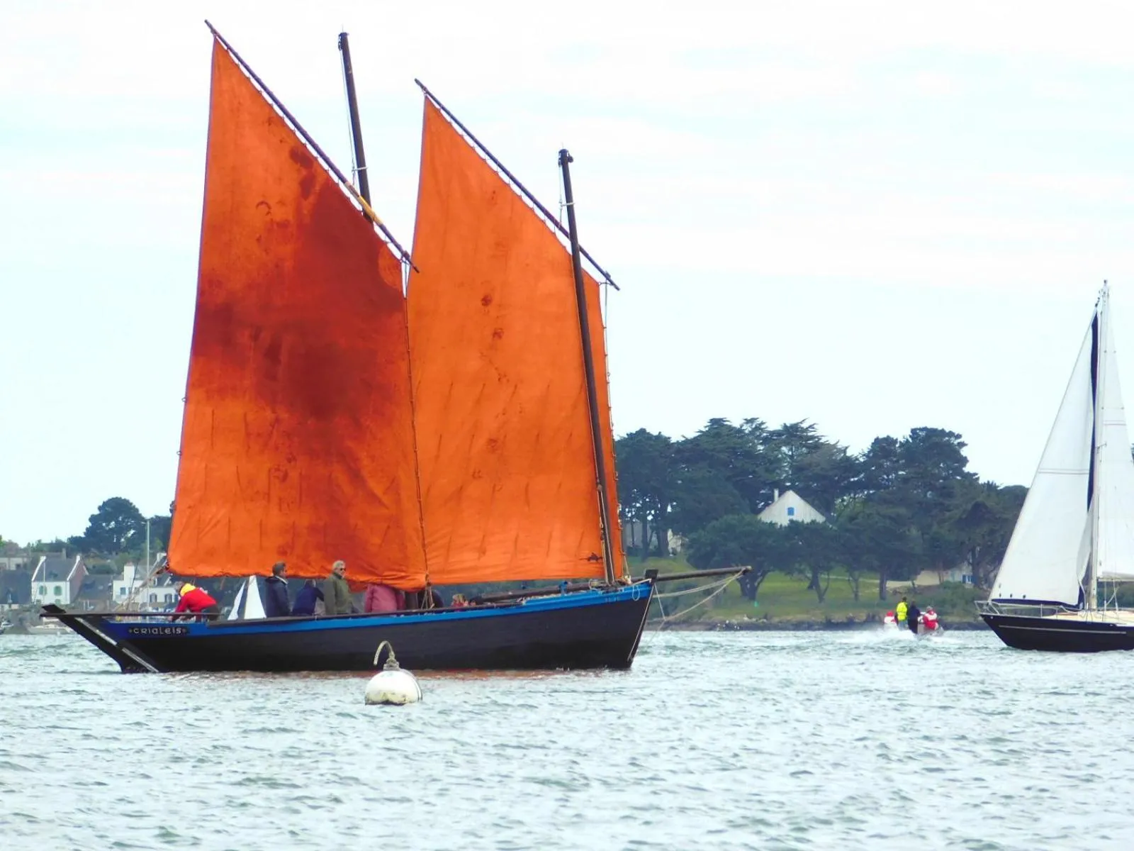 Activities in Kyriad Prestige Vannes Centre-Palais des Arts