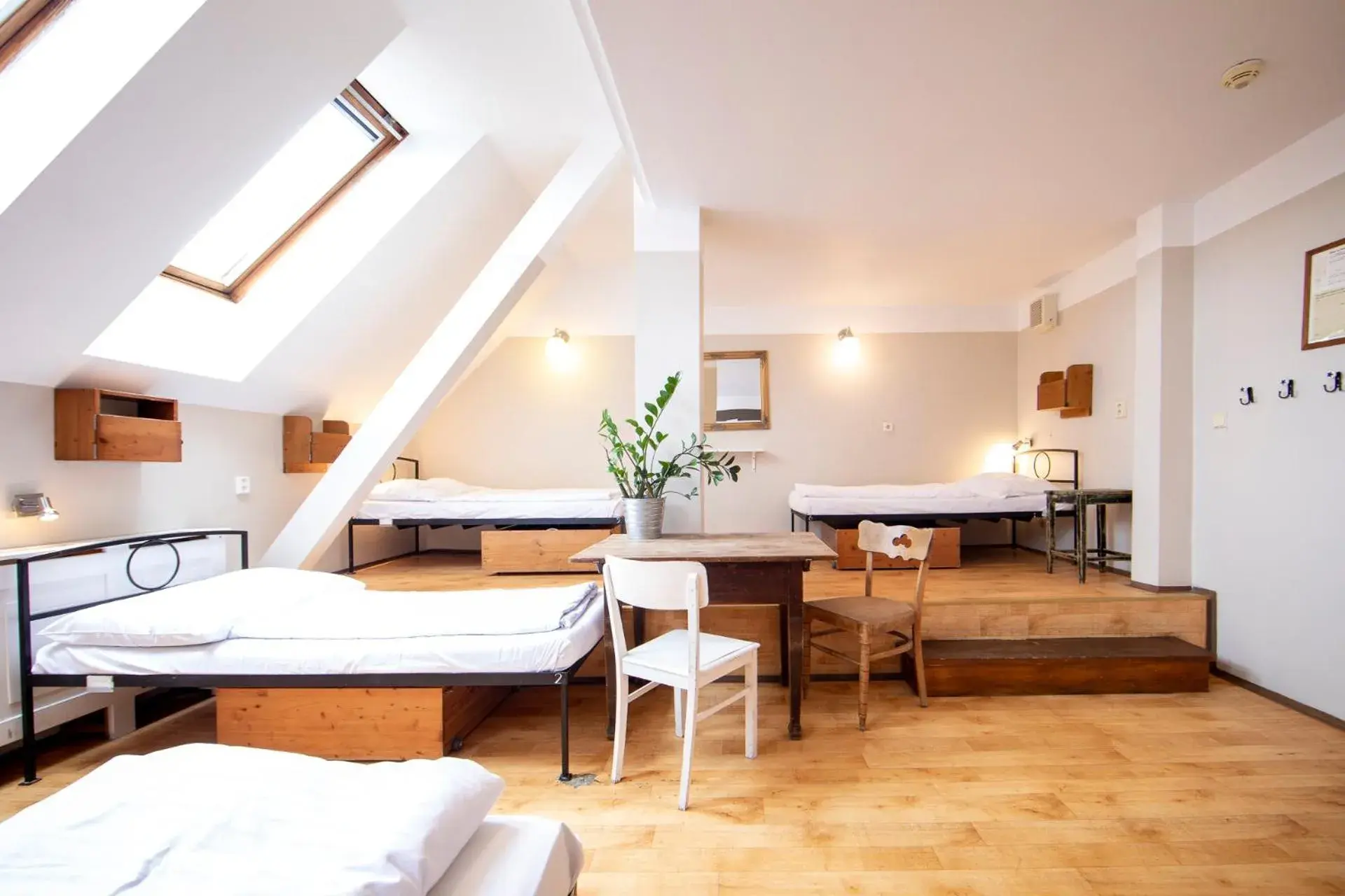 Bed in Sir Toby's Hostel Bed in Sir Toby's Hostel