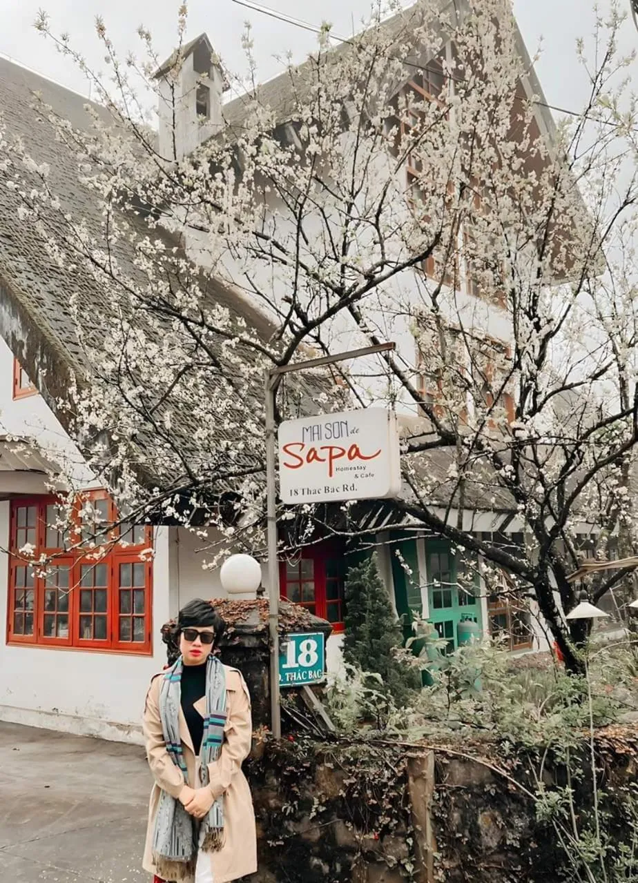 Spring in Maison de Sapa Villa