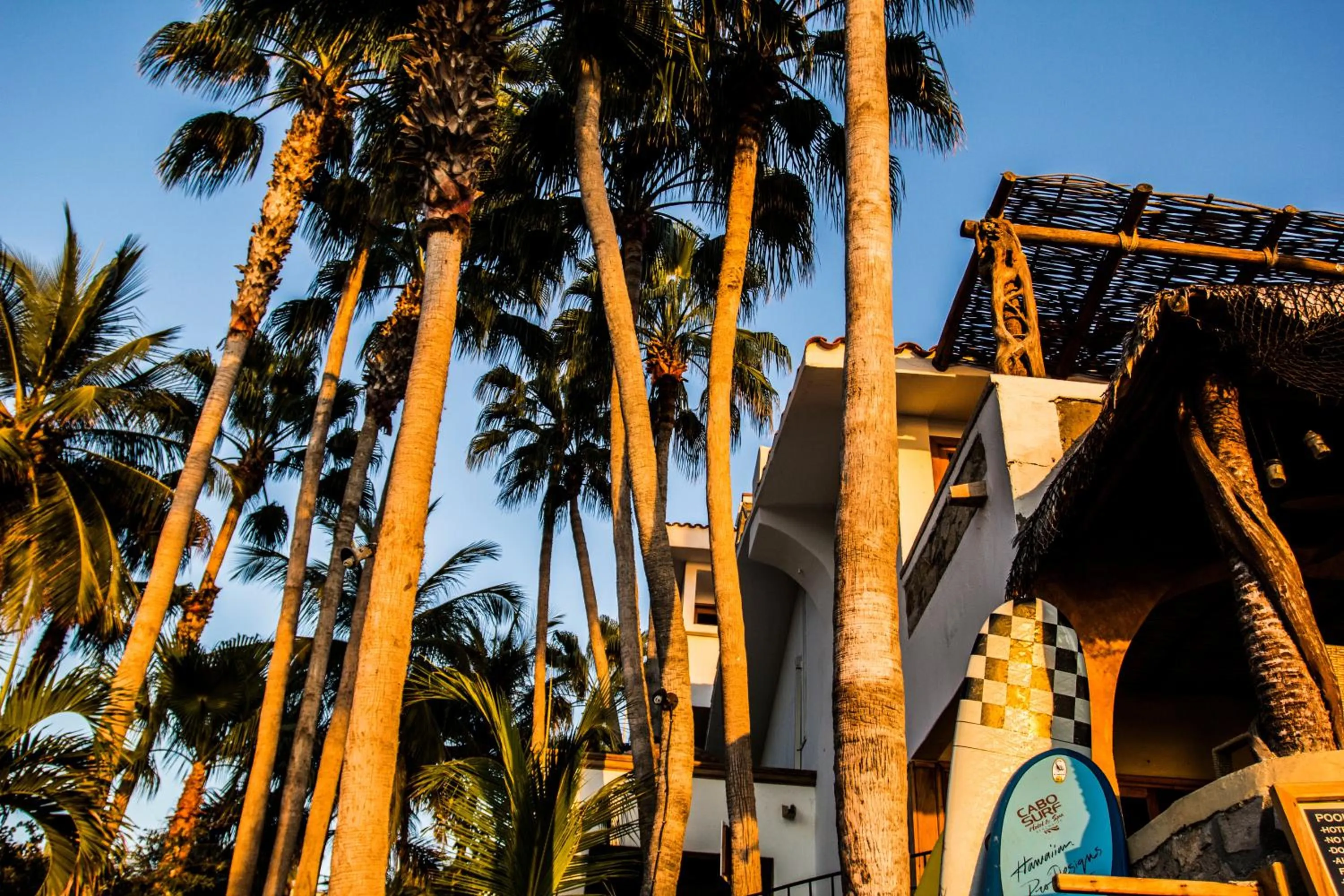 Other in Cabo Surf Hotel