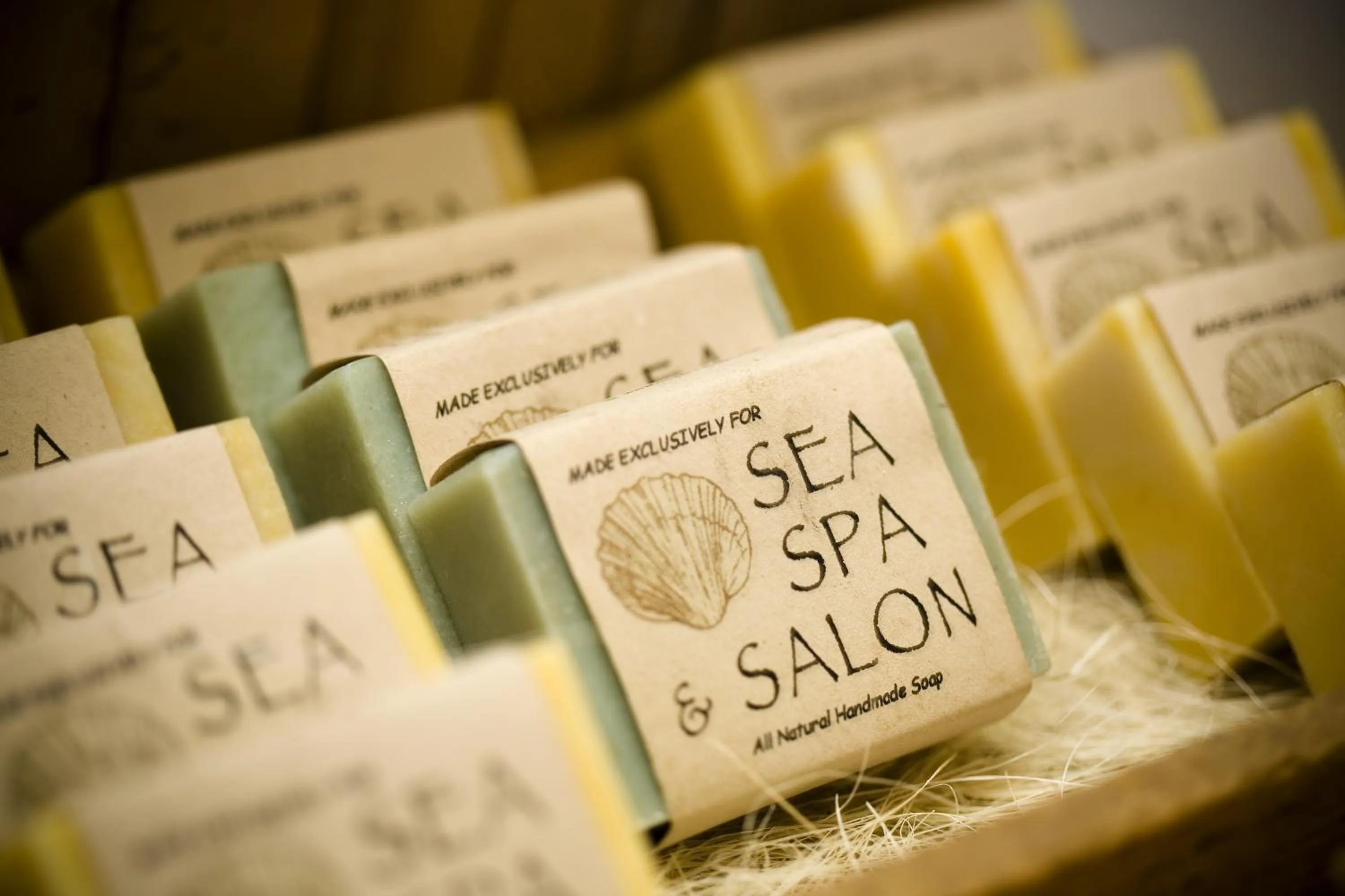 Other in Cabo Surf Hotel