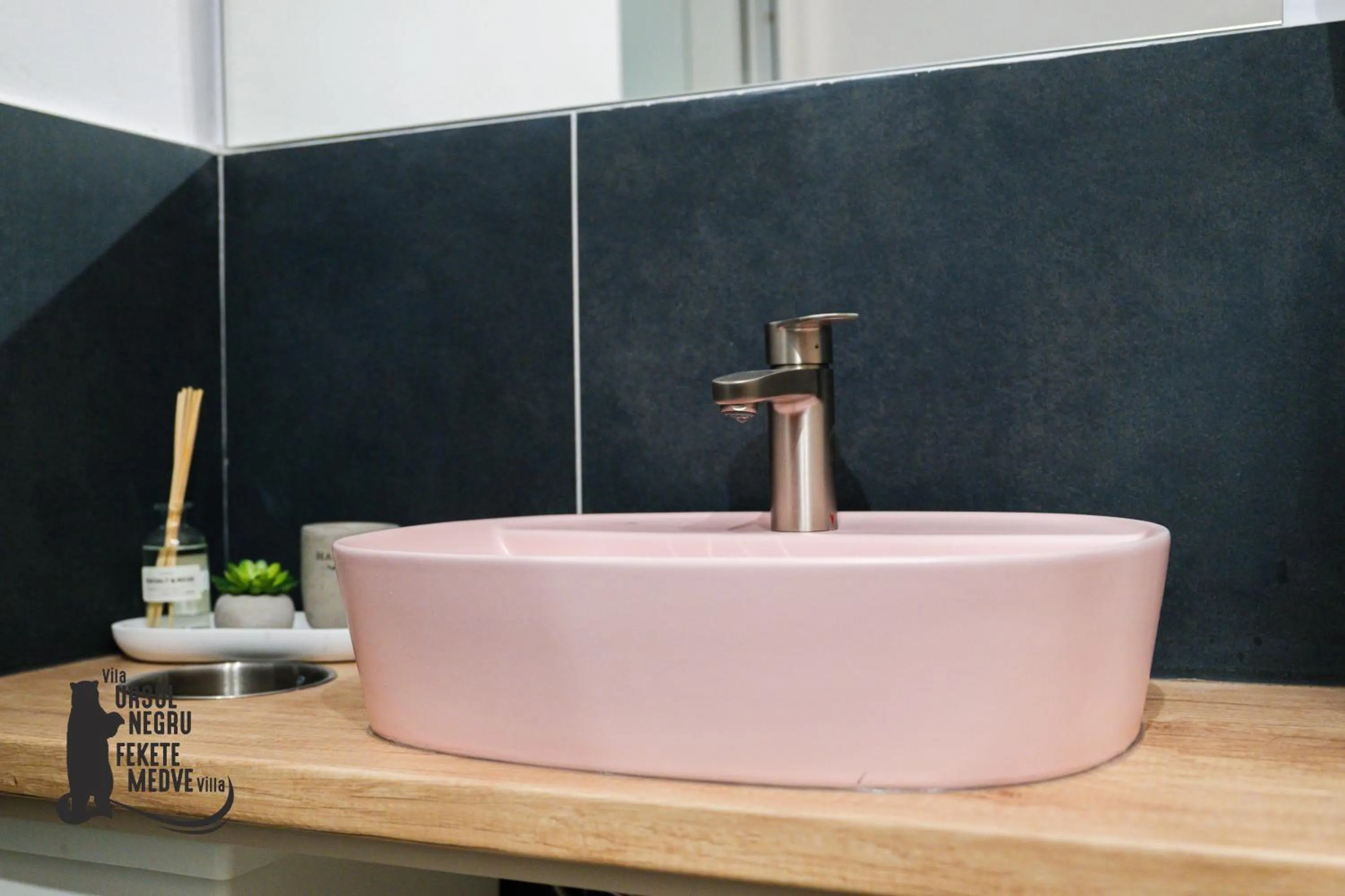 Spa and wellness centre/facilities in Vila Ursul Negru