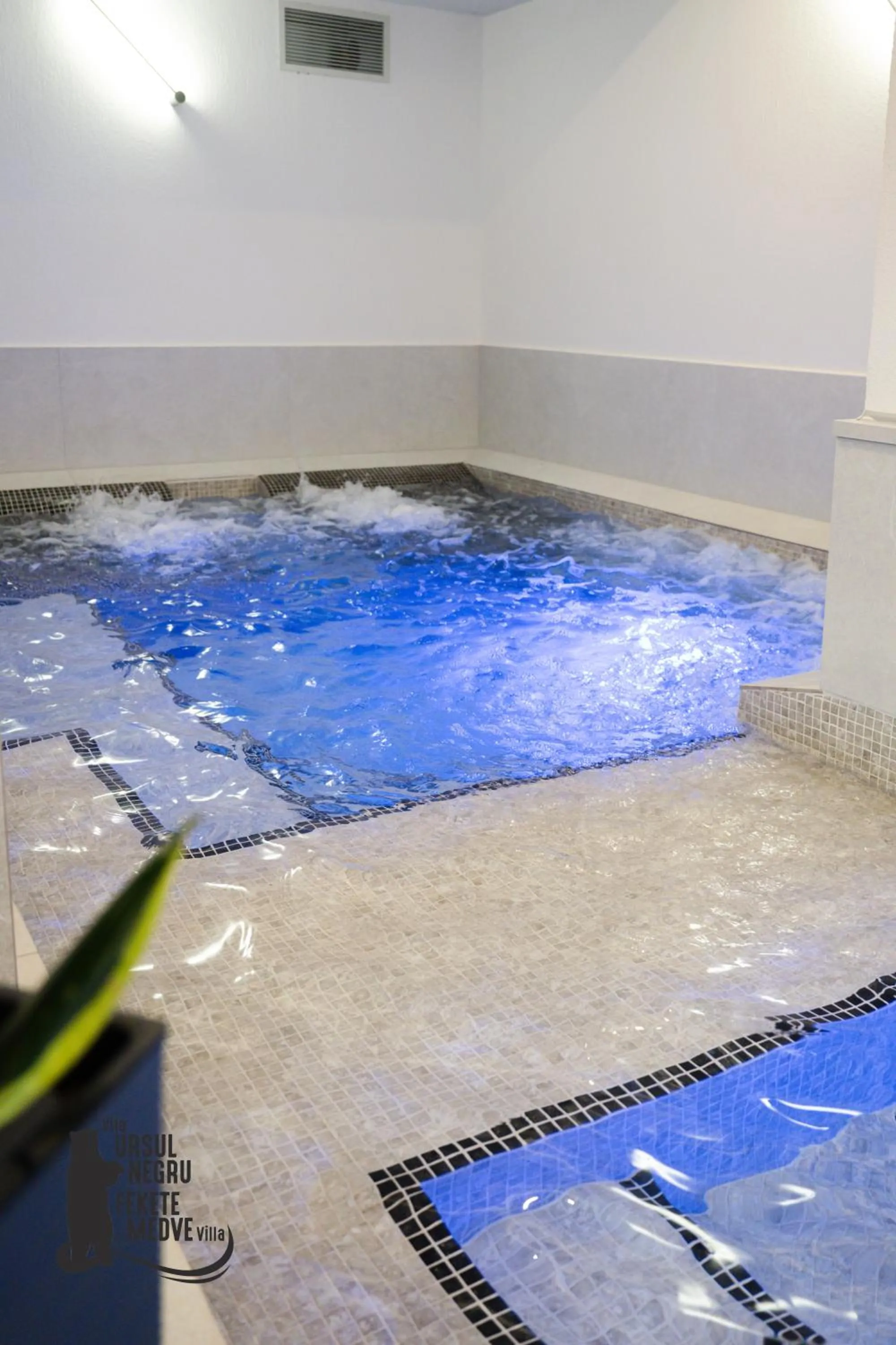 Property building in Vila Ursul Negru