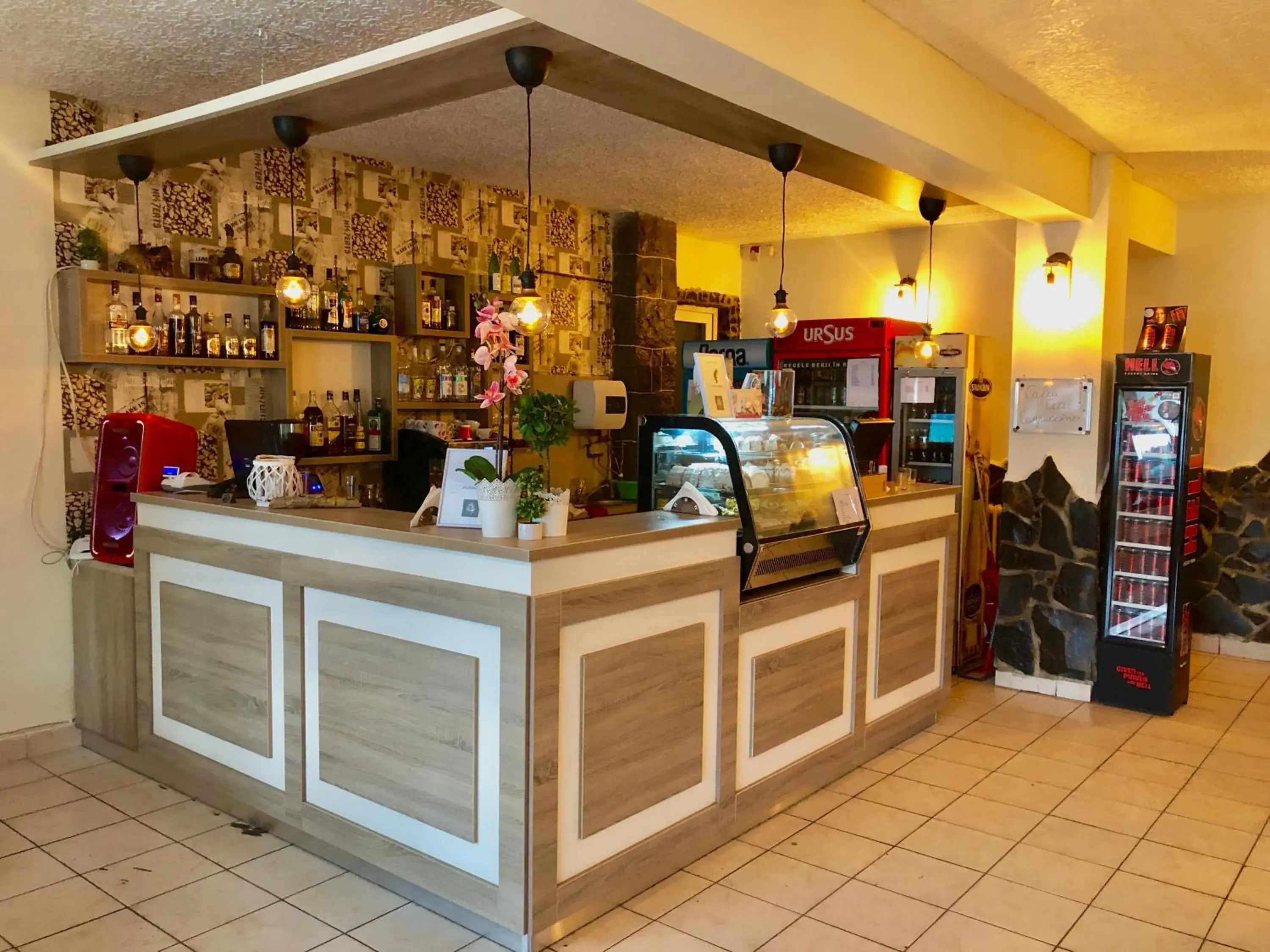 Lounge or bar in Vila Ursul Negru Lounge or bar in Vila Ursul Negru