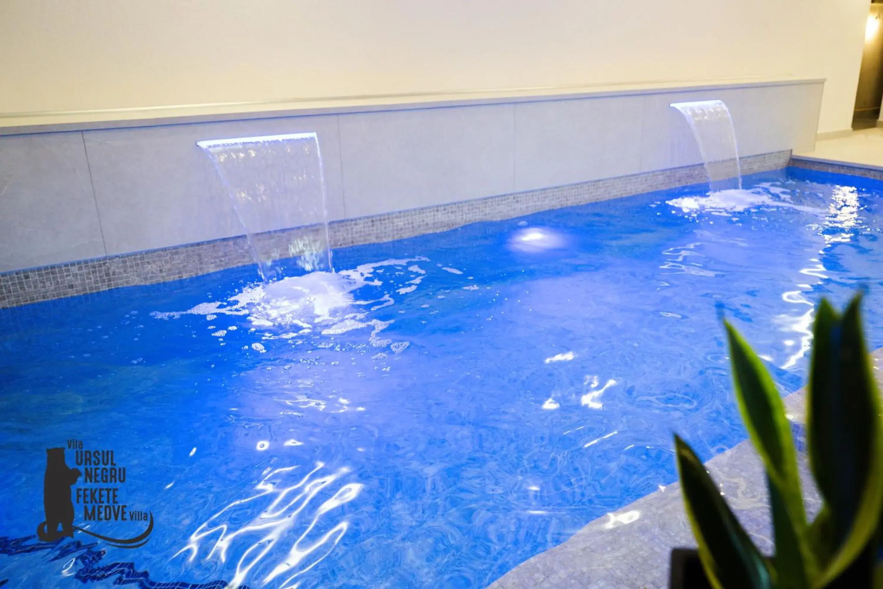 Spa and wellness centre/facilities in Vila Ursul Negru Spa and wellness centre/facilities in Vila Ursul Negru