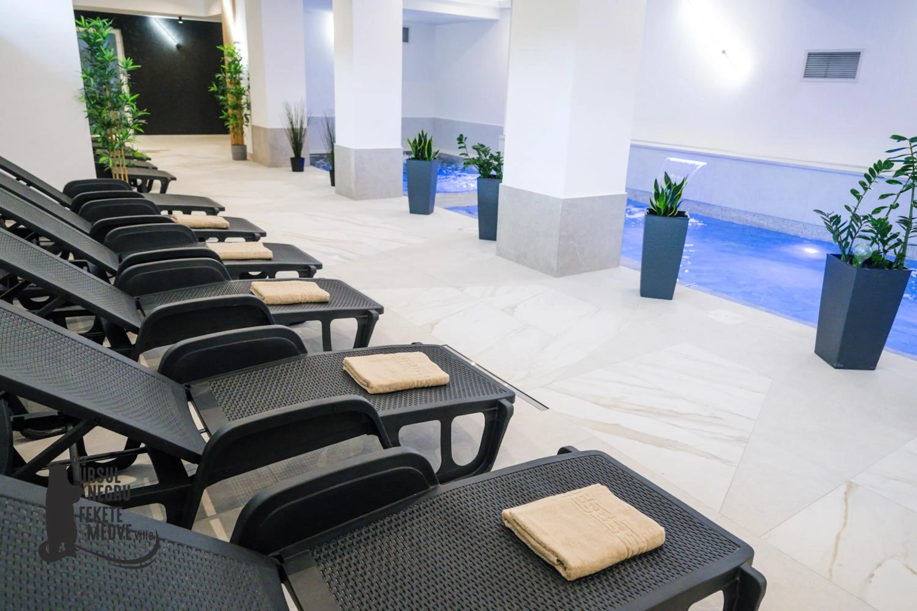 Spa and wellness centre/facilities in Vila Ursul Negru
