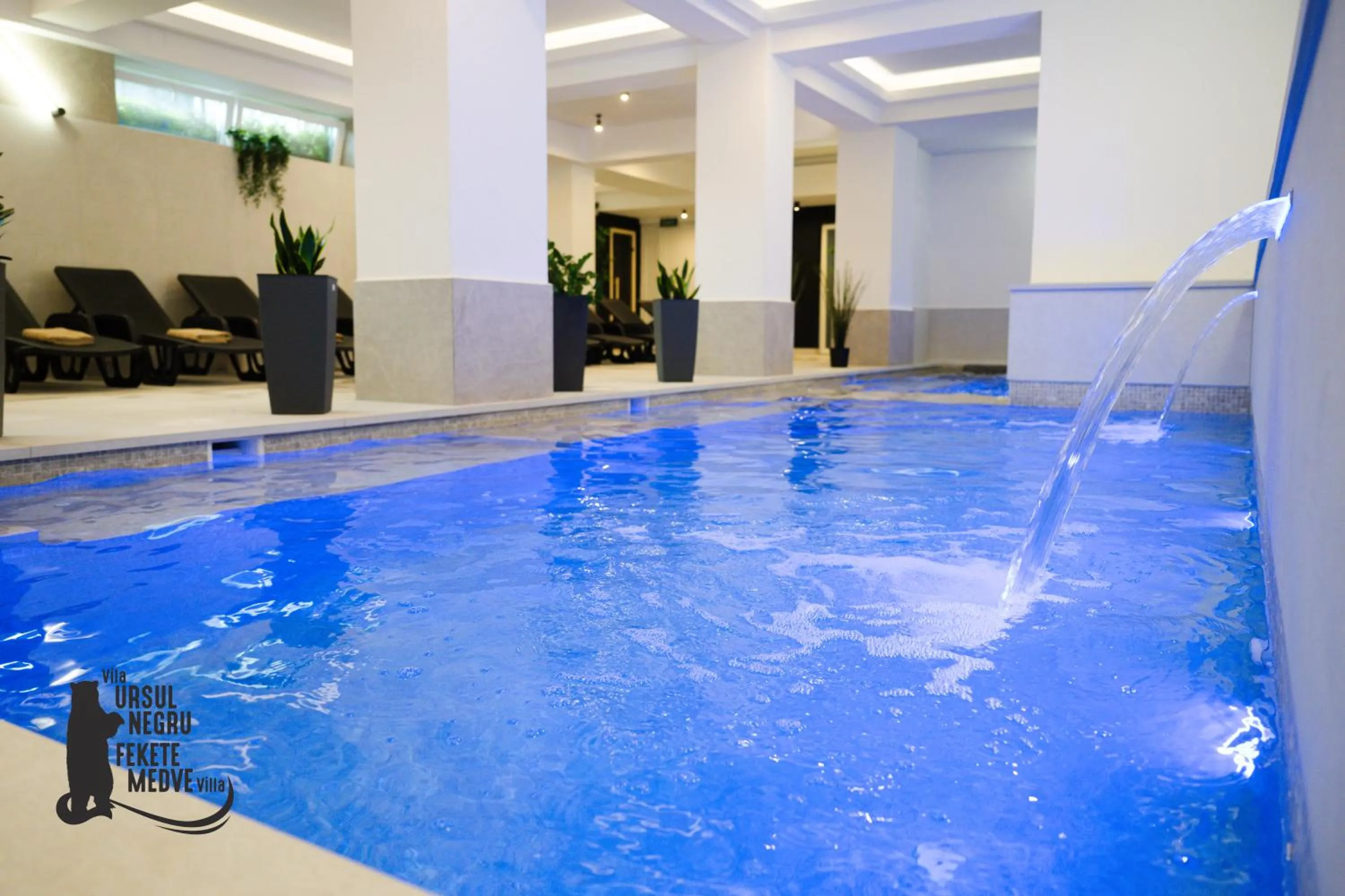 Spa and wellness centre/facilities in Vila Ursul Negru