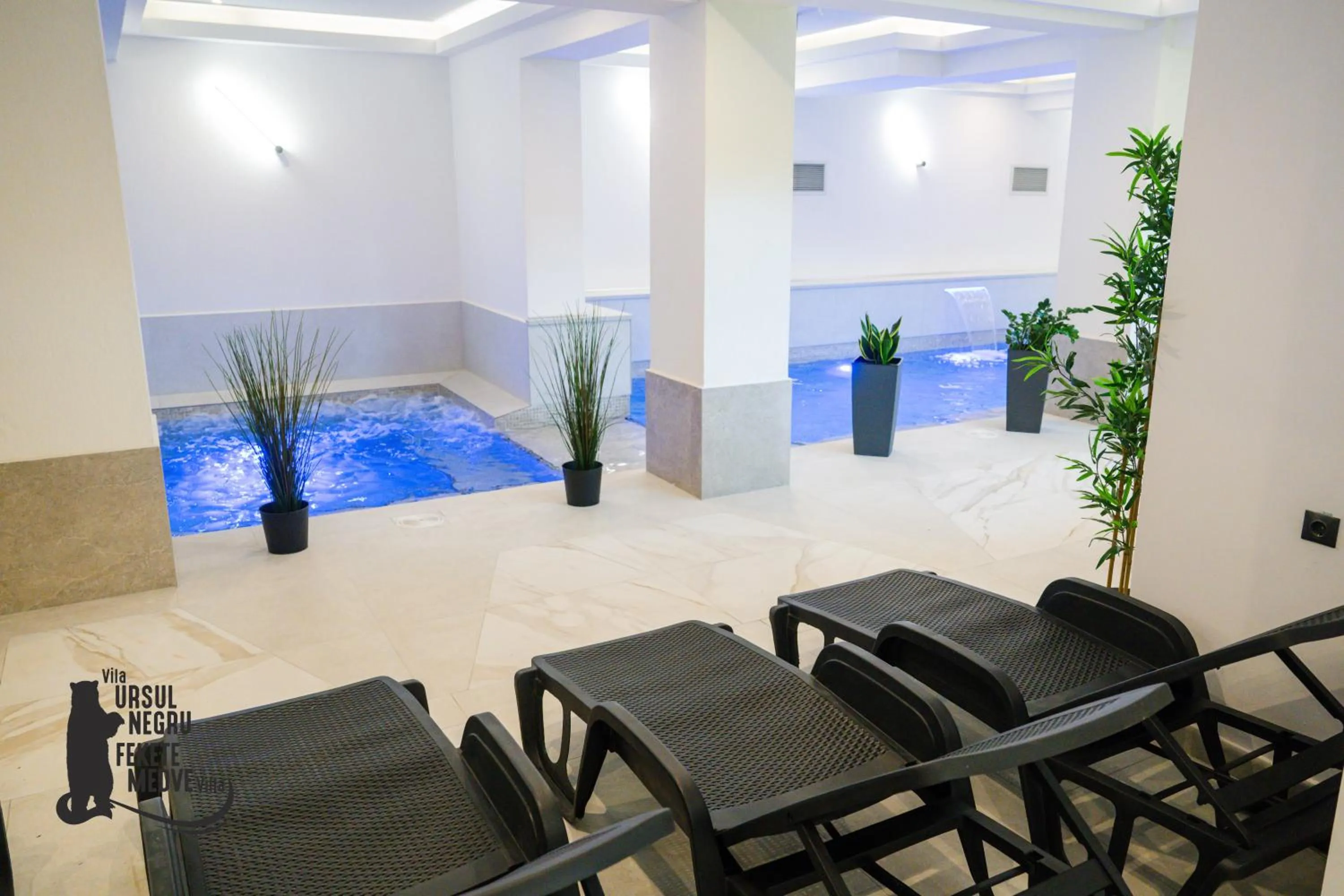 Spa and wellness centre/facilities in Vila Ursul Negru