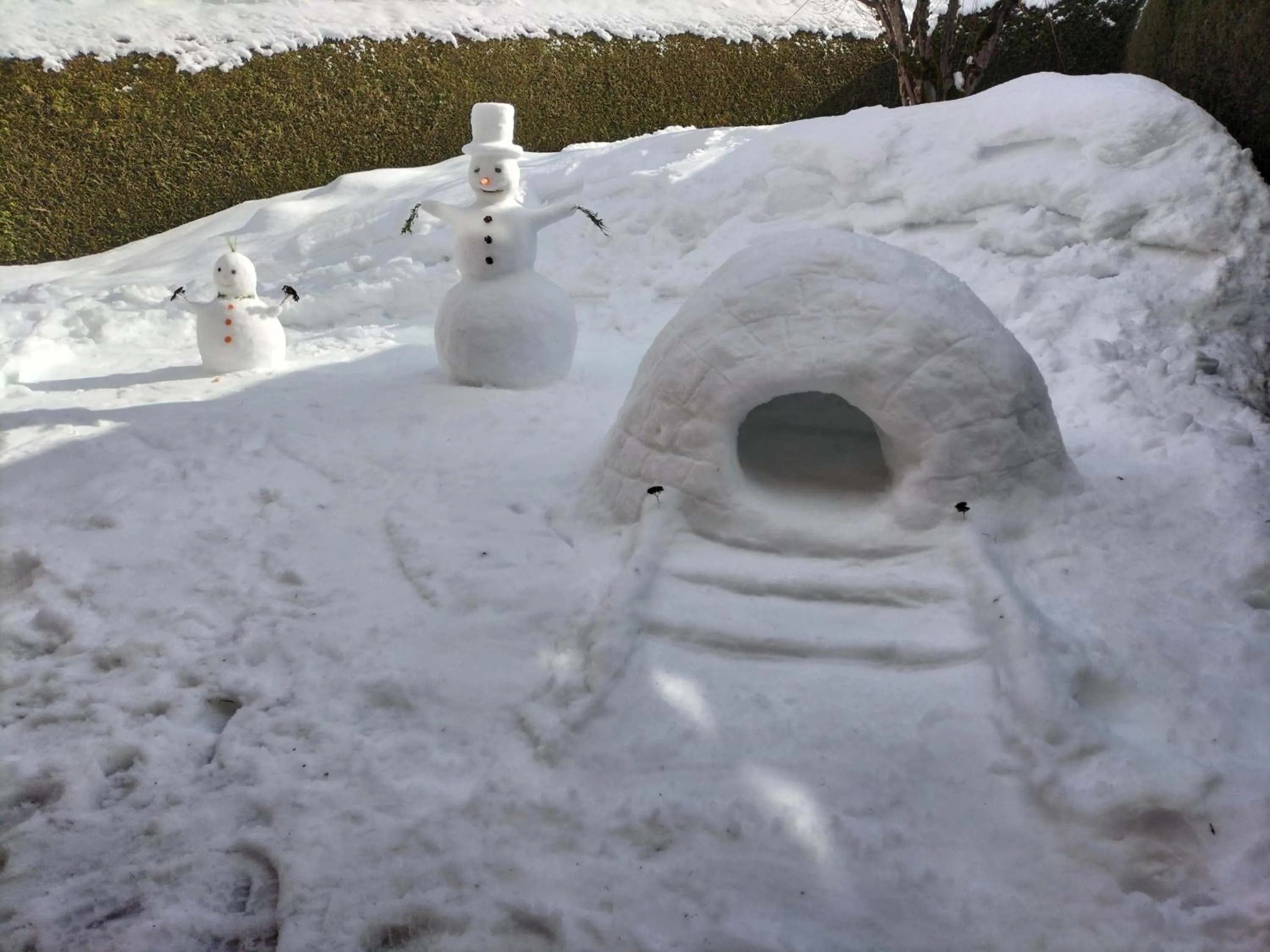 Winter in le Montagny