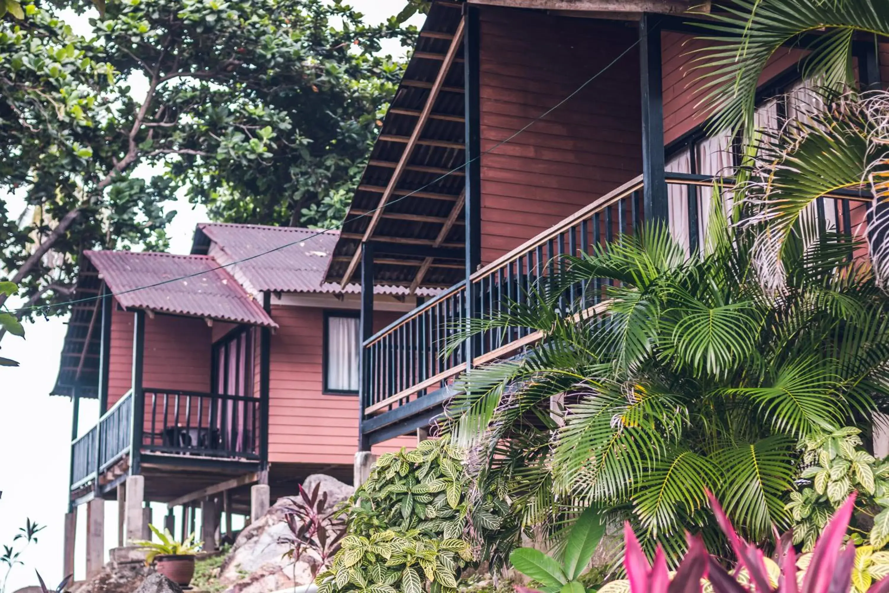 D Rock Garden Resort D Rock Garden Resort