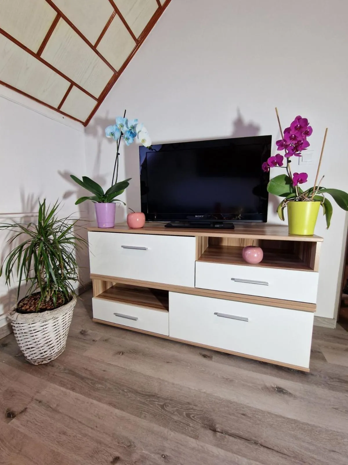 Living room in Apartments Karin