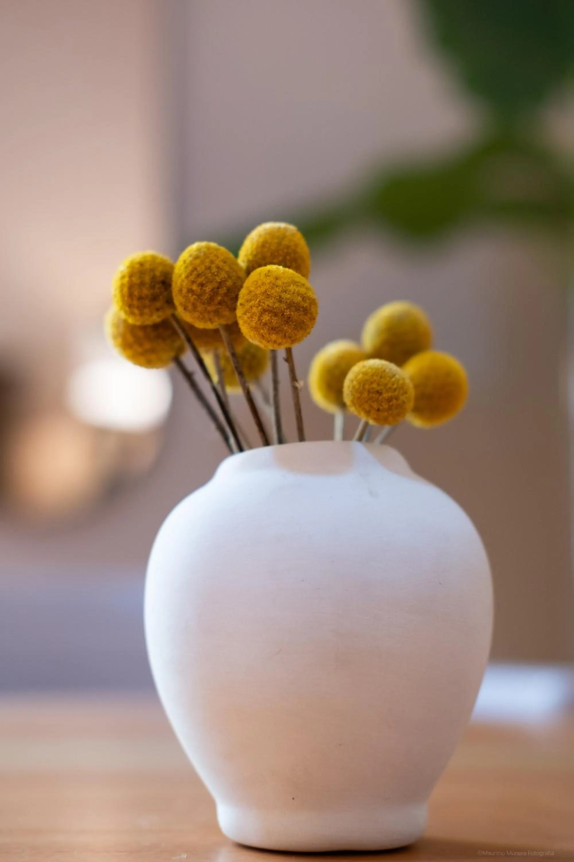 Decorative detail in Casa Bustamante Hotel Boutique