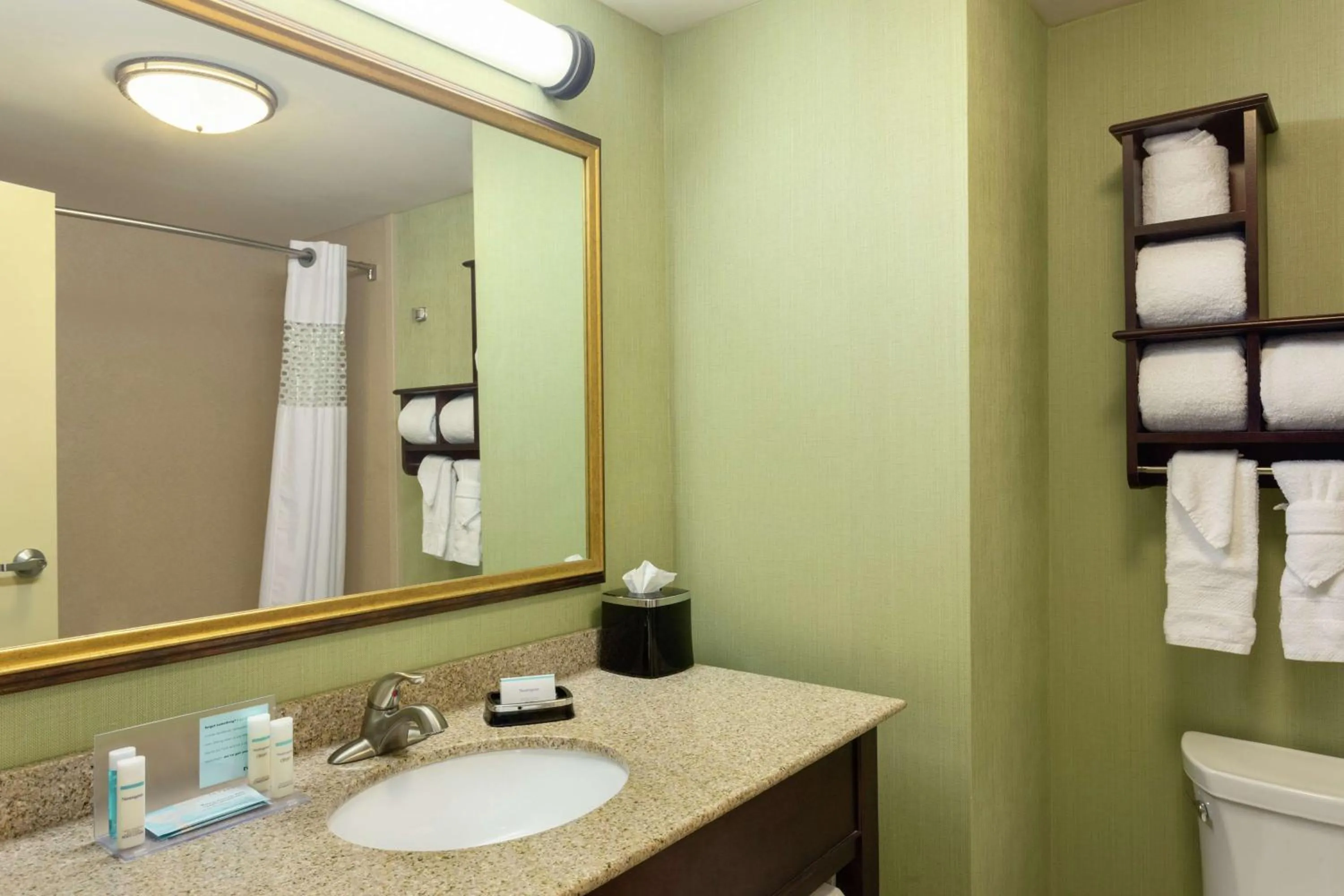 Bathroom in Hampton Inn & Suites Prattville