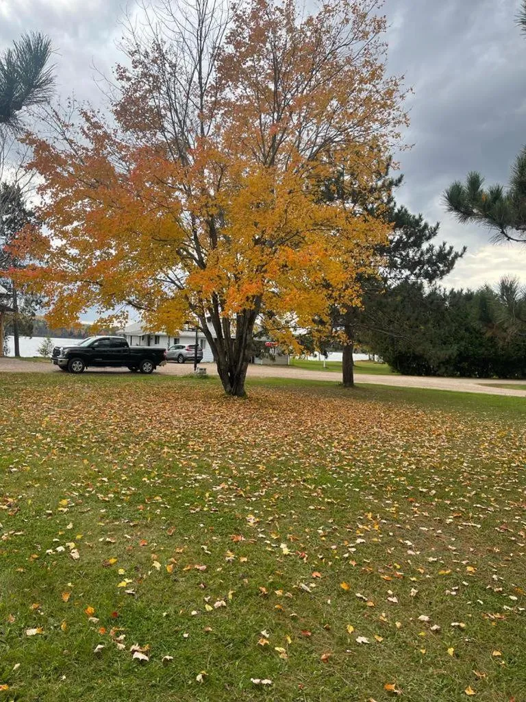 View (from property/room) in Welcome Inn