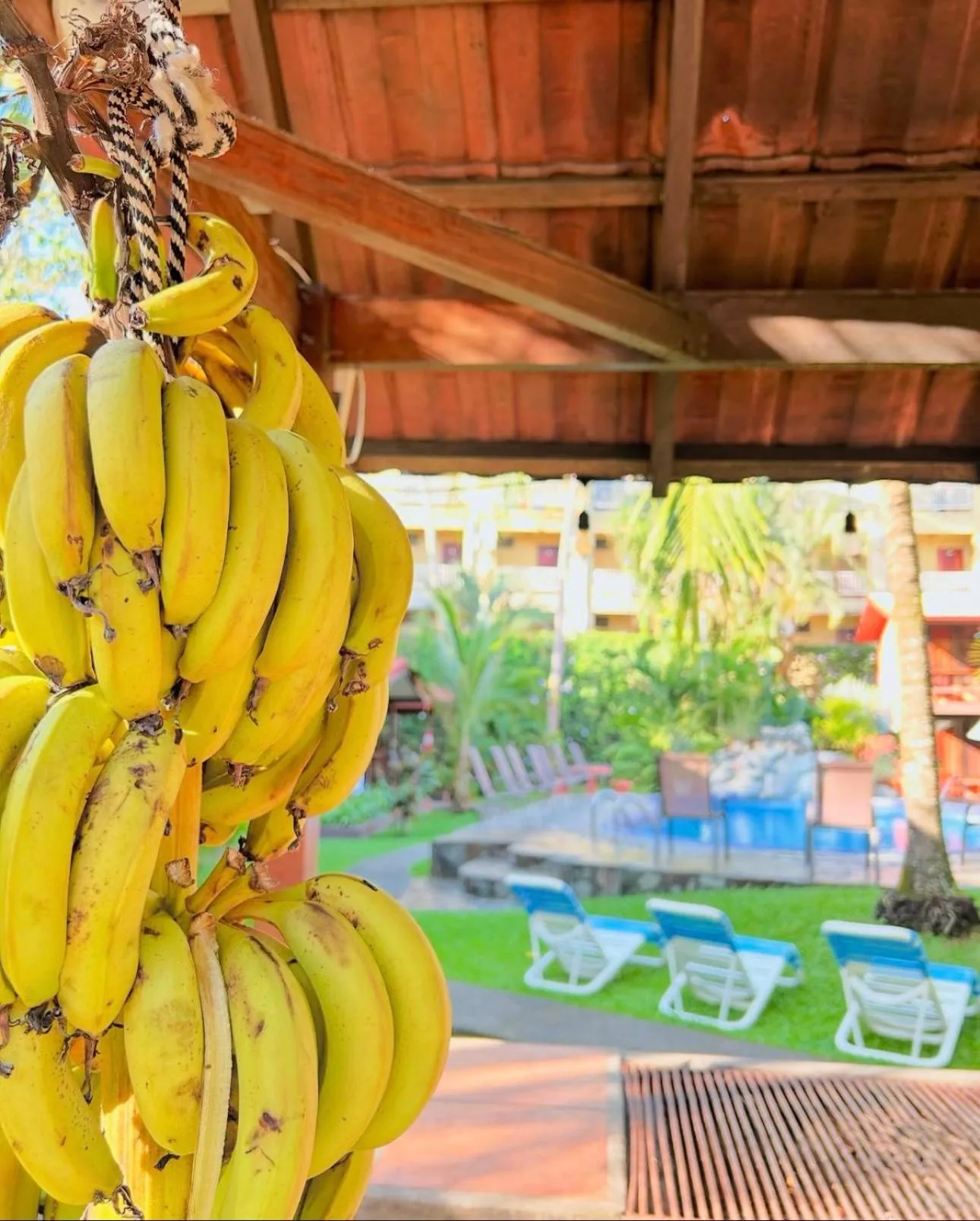BBQ facilities in Hotel Los Ranchos