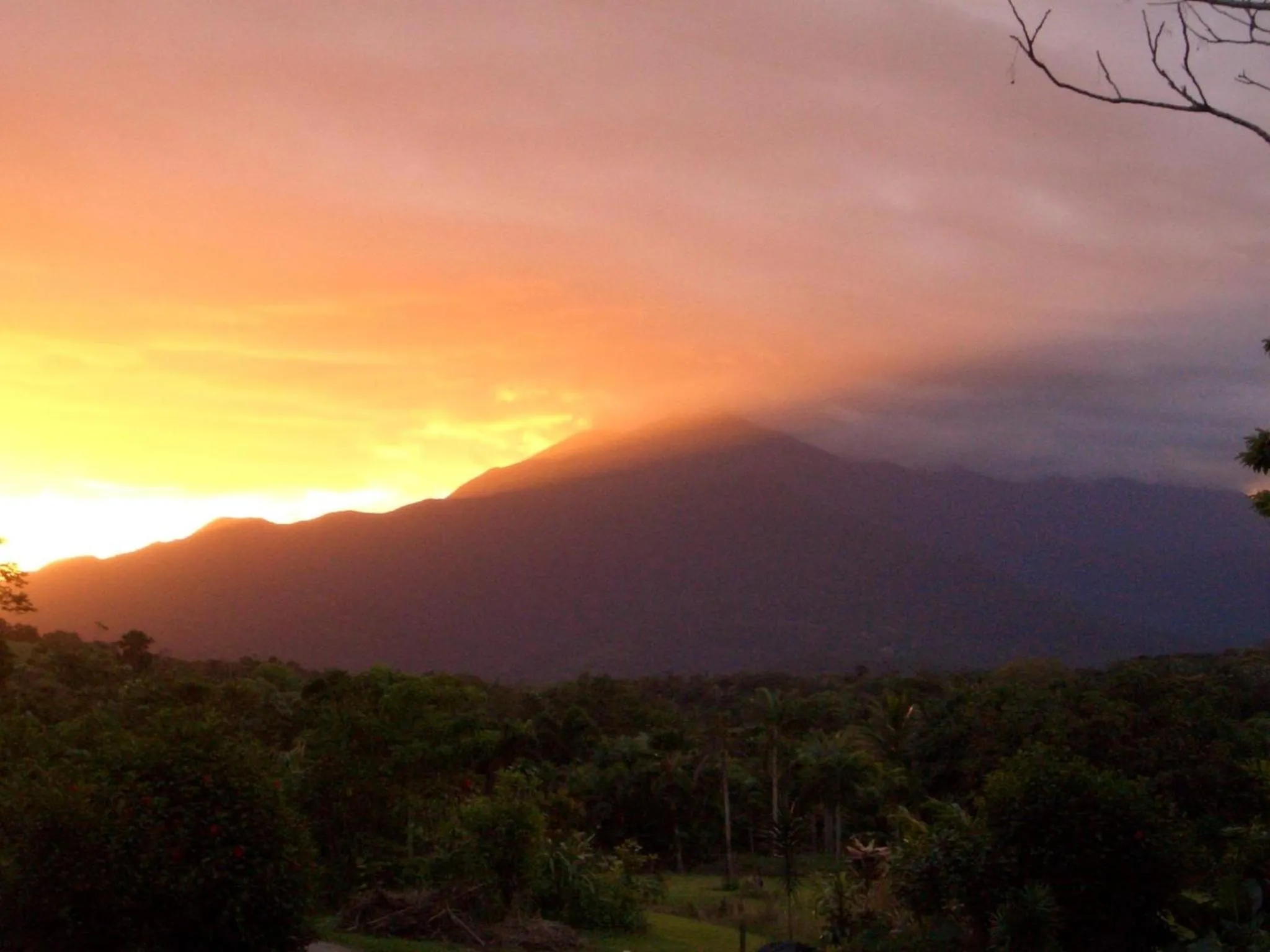 Mountain view in Epiphyte B & B