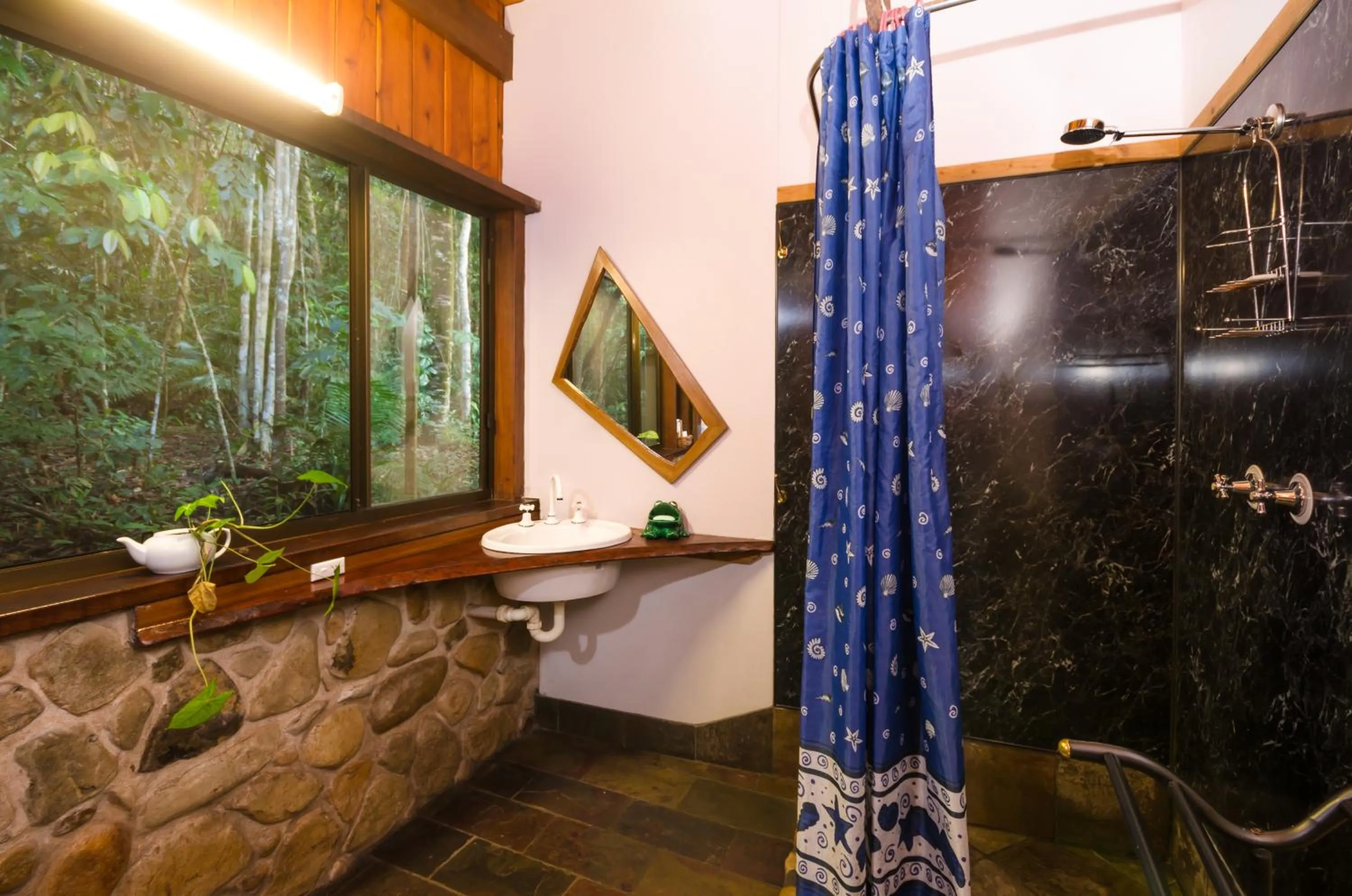 Bathroom in Epiphyte B & B