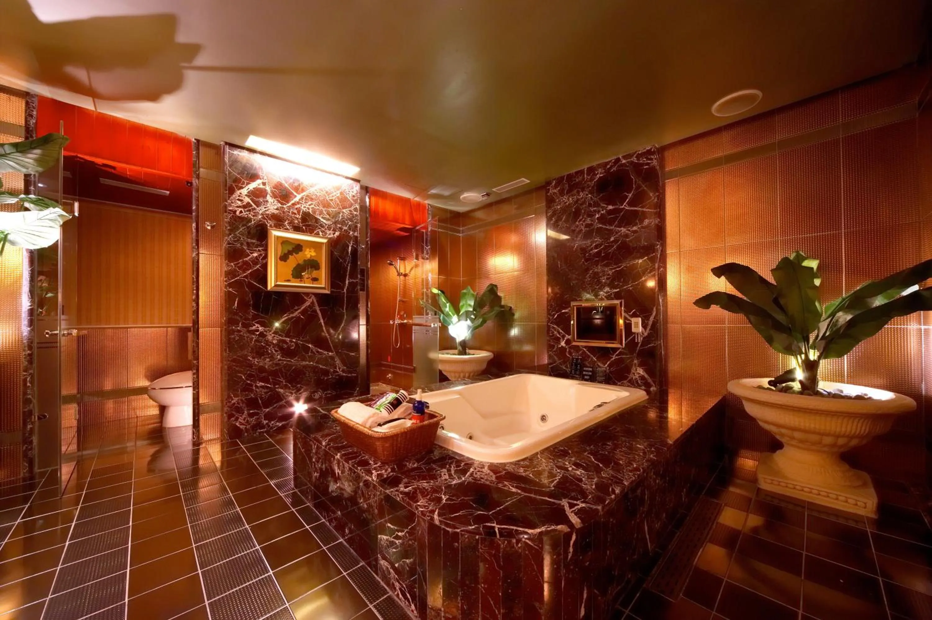 Shower in Wego Hotel - Linsen