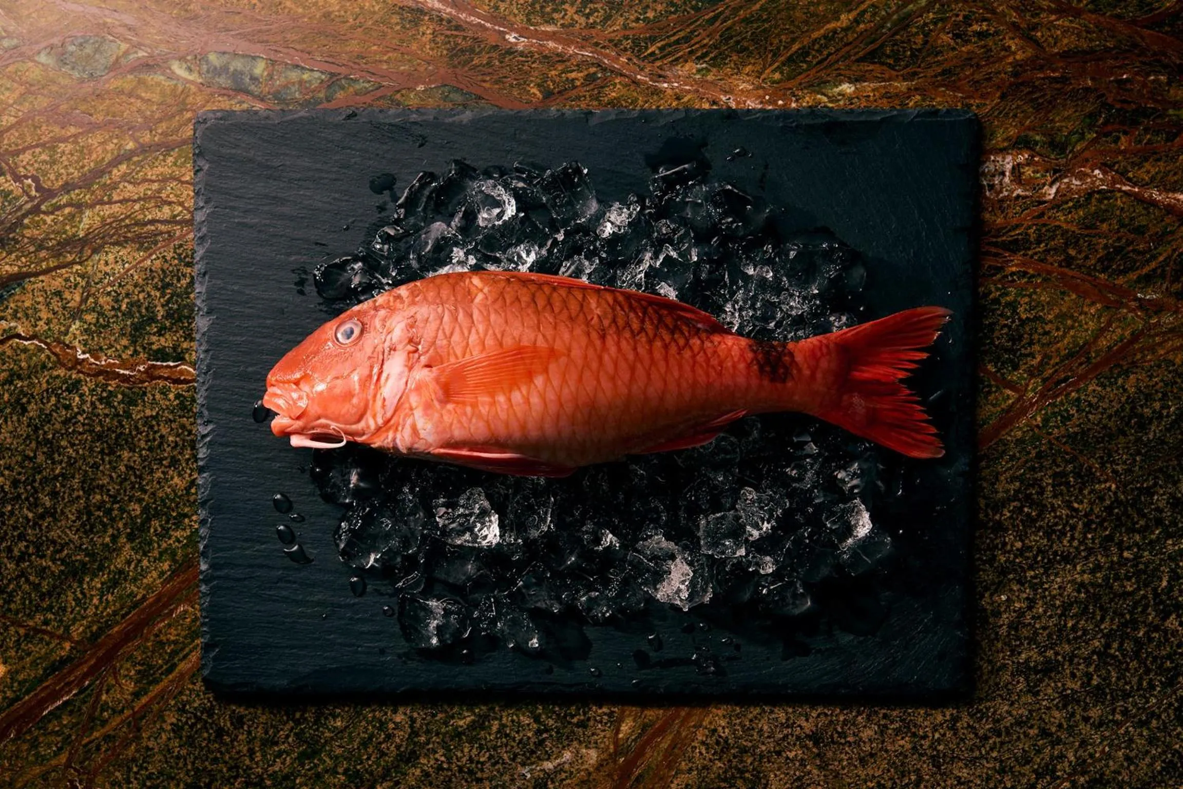 Food in samana hotel Yakushima