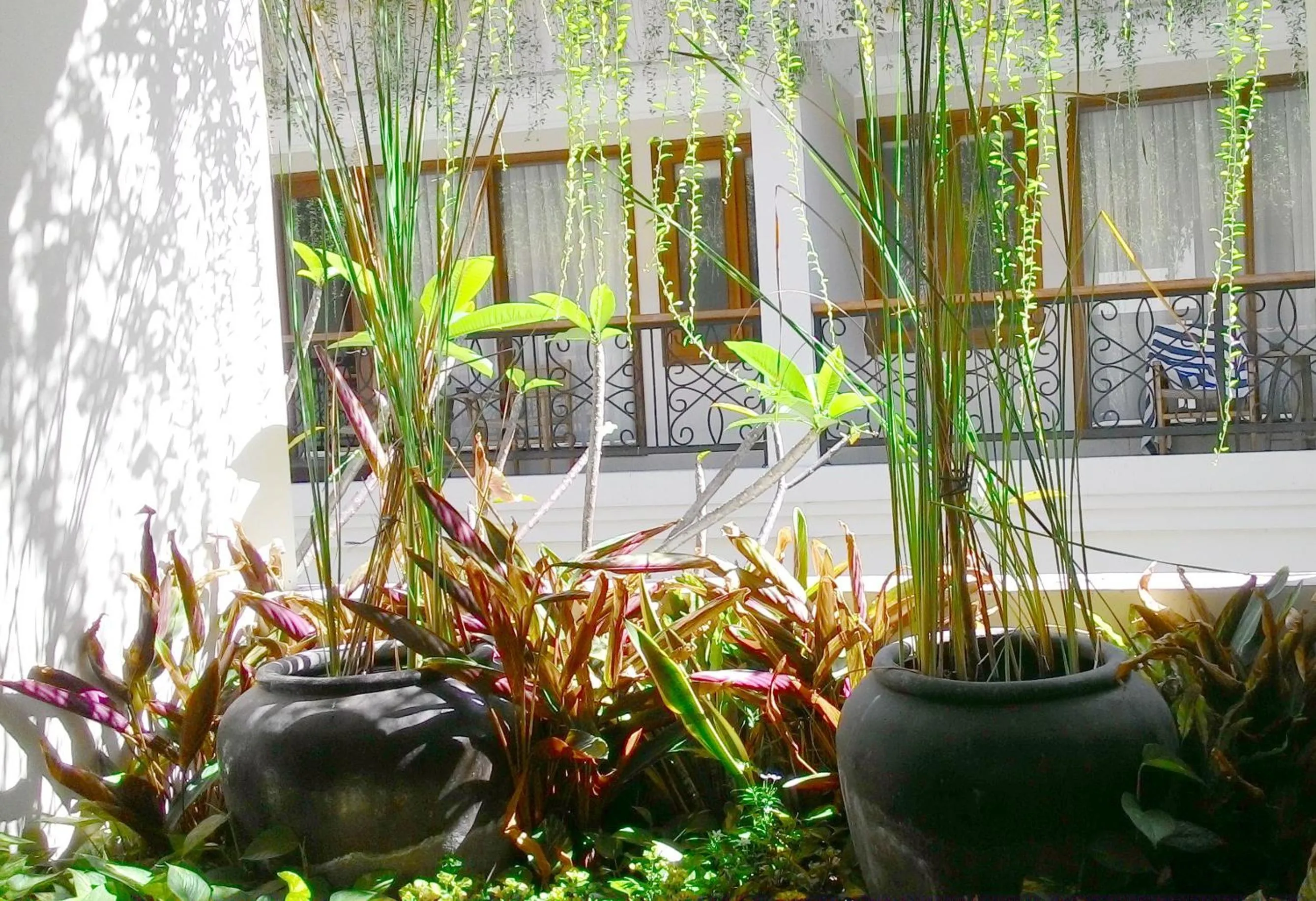 Garden in Seminyak Lagoon All Suites Hotel