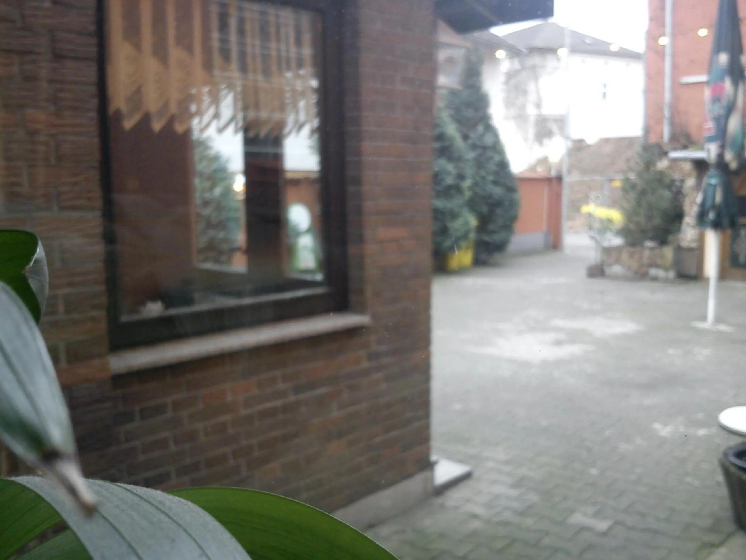 Facade/entrance in Hotel zur Küferschenke
