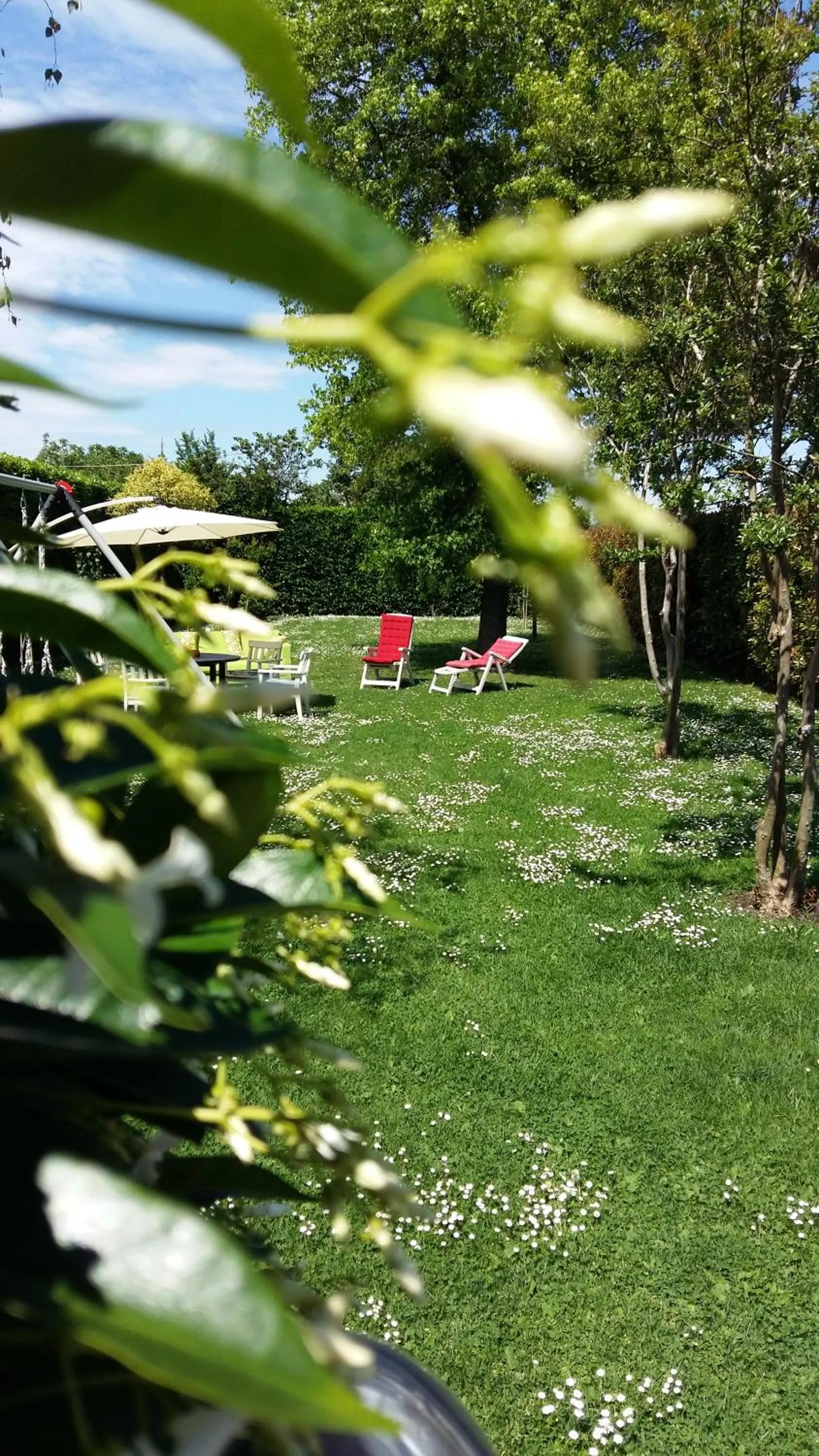 Garden in La Casa di Linda