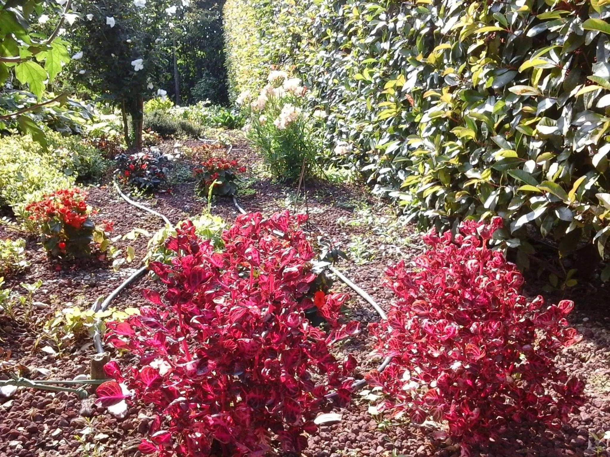 Other in La Casa di Linda