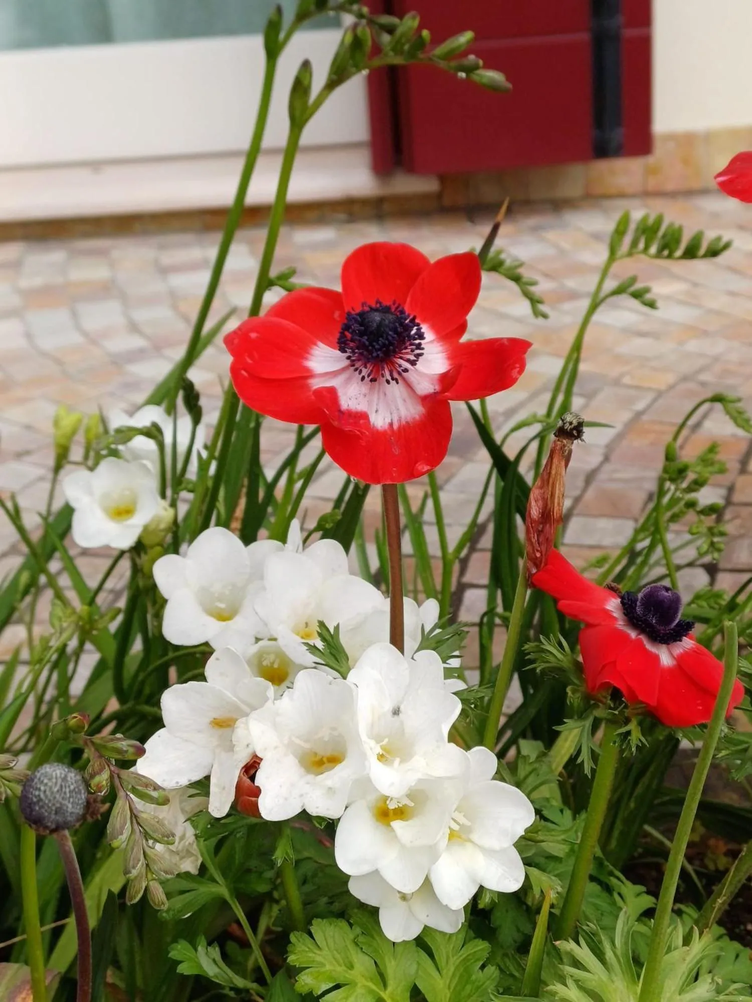 Breakfast in La Casa di Linda