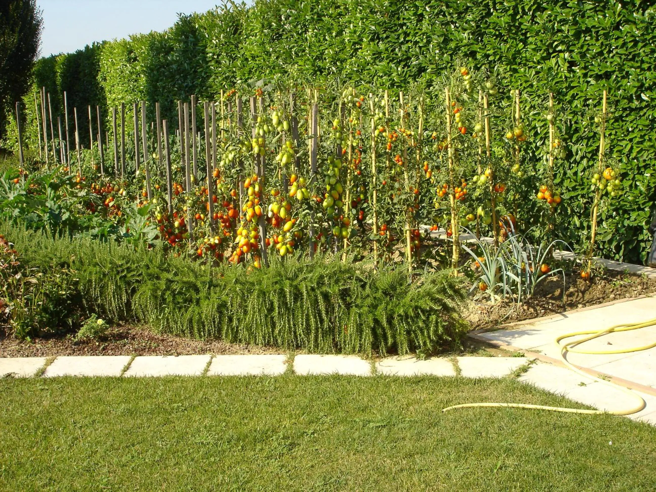 Day in La Casa di Linda